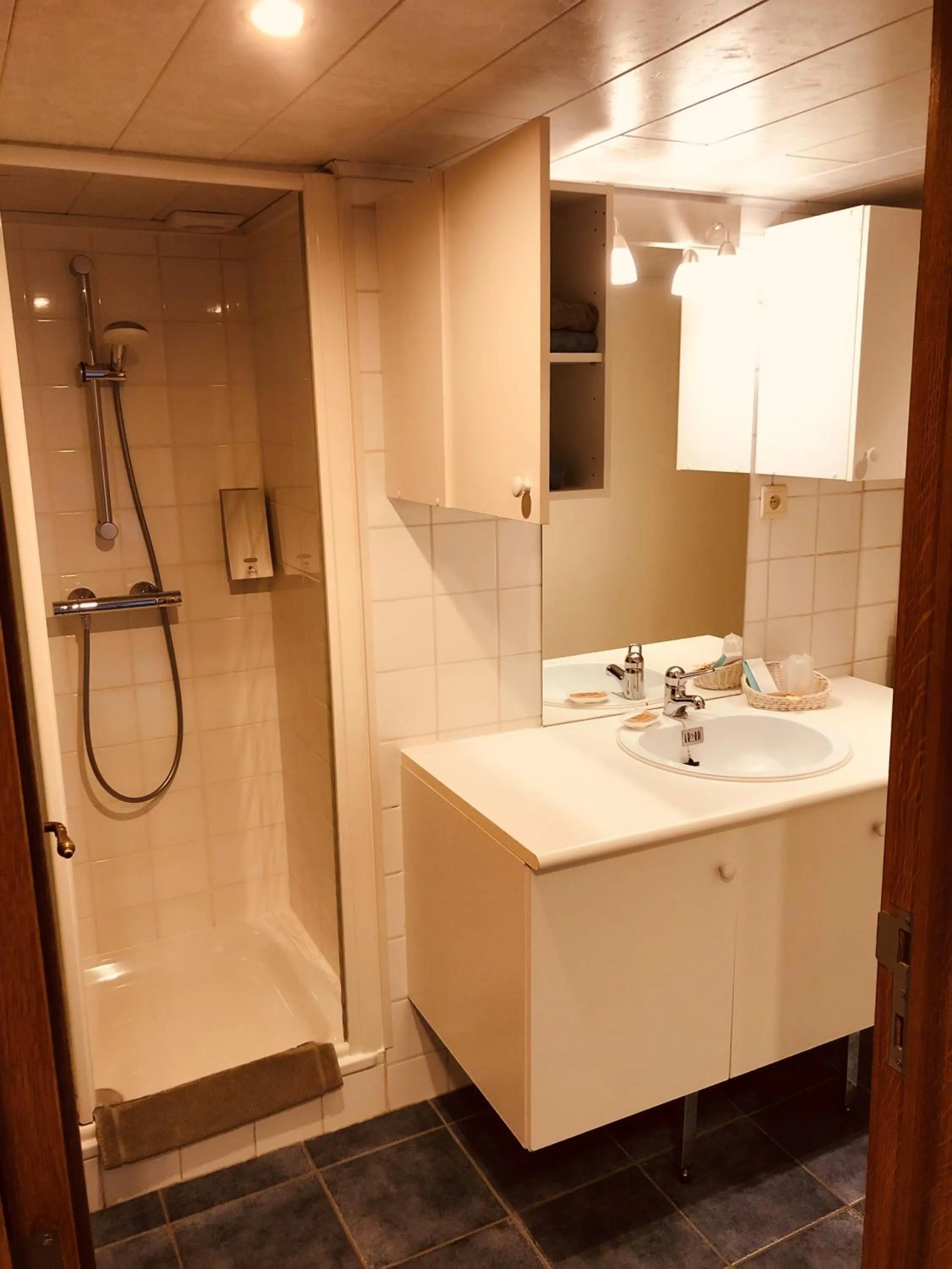 Shower in Appart Hotel Au Pied de Vigne