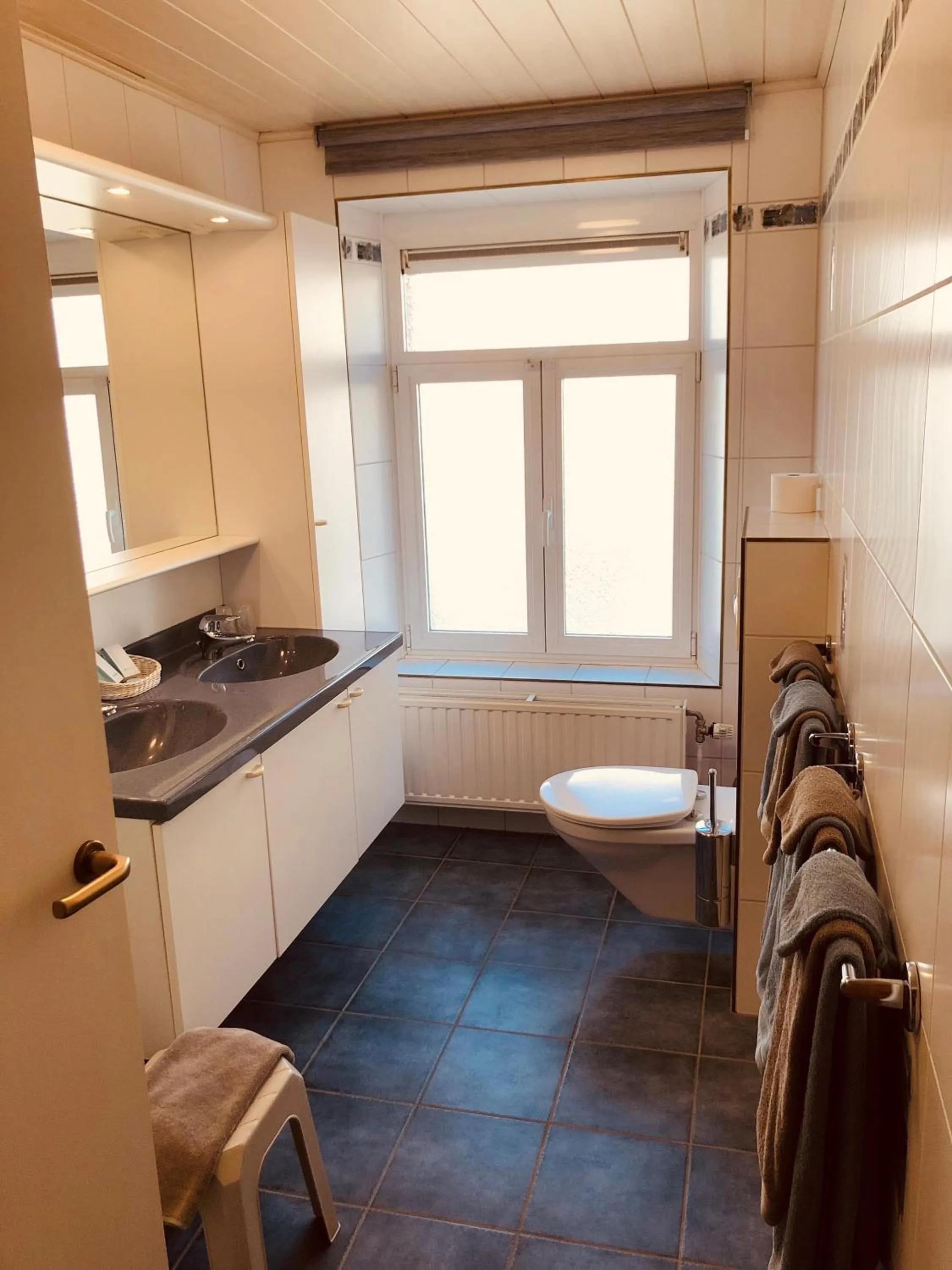 Toilet in Appart Hotel Au Pied de Vigne