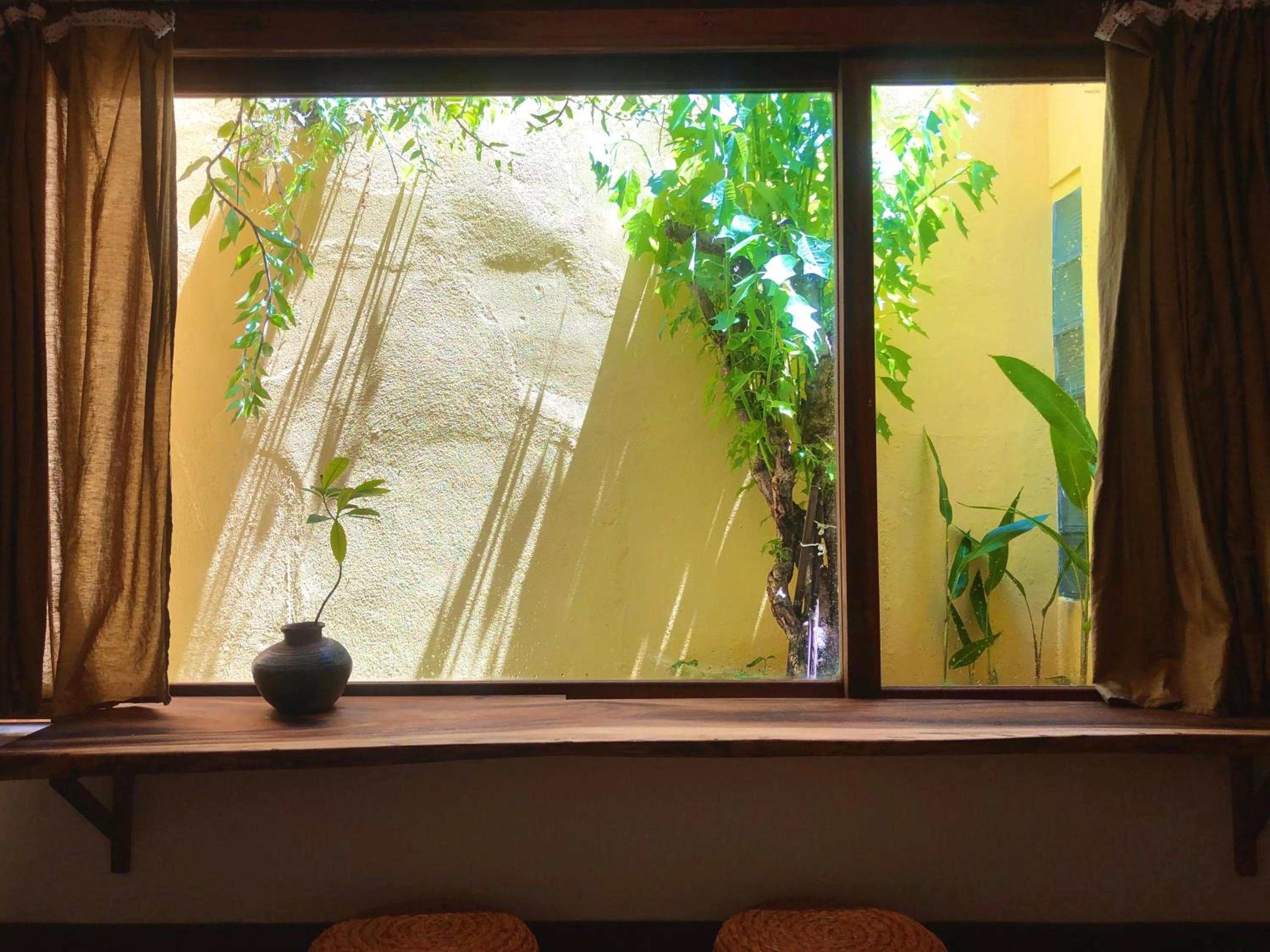 Garden in Leranda Homestay