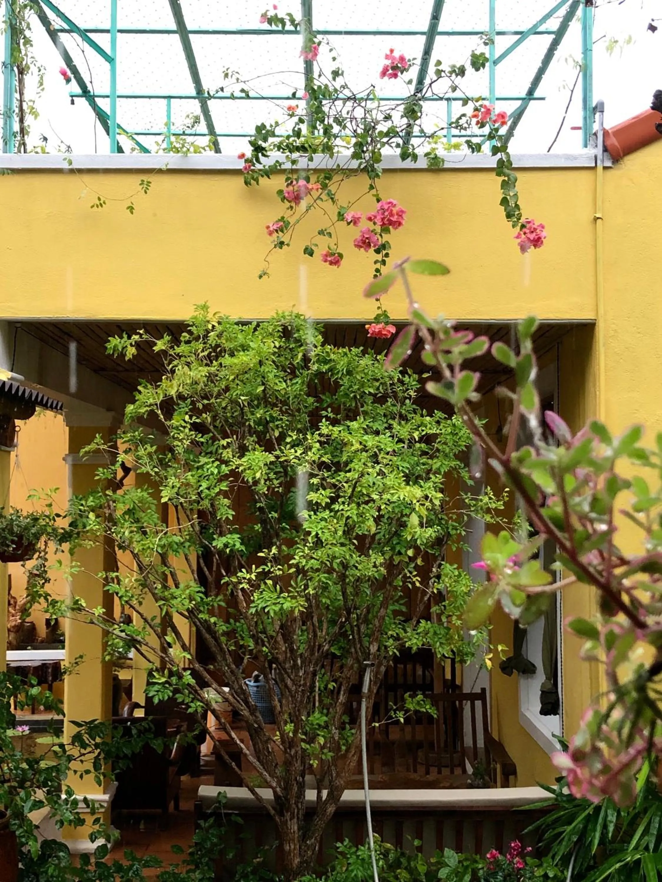 Garden in Leranda Homestay