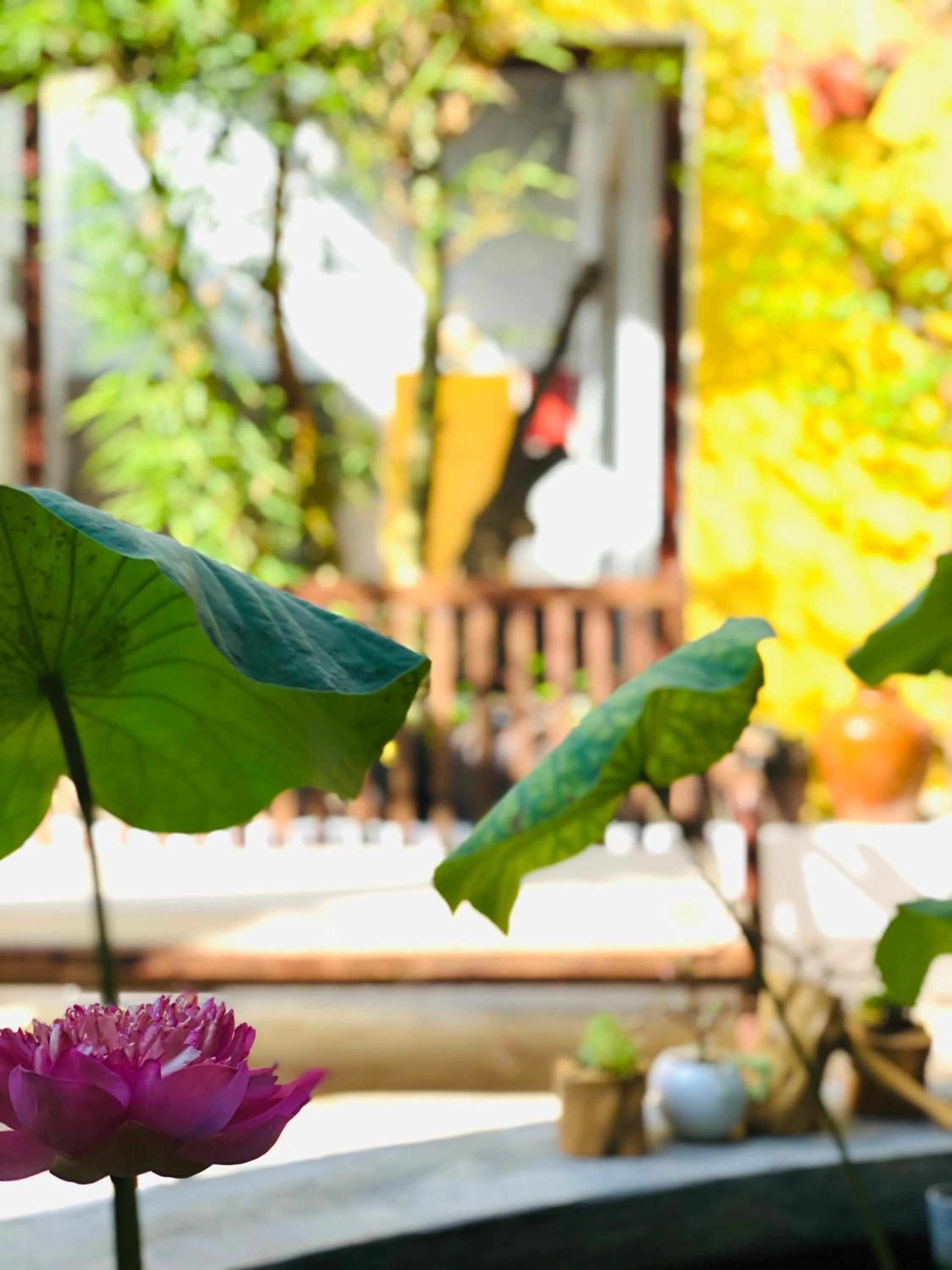 Patio in Leranda Homestay