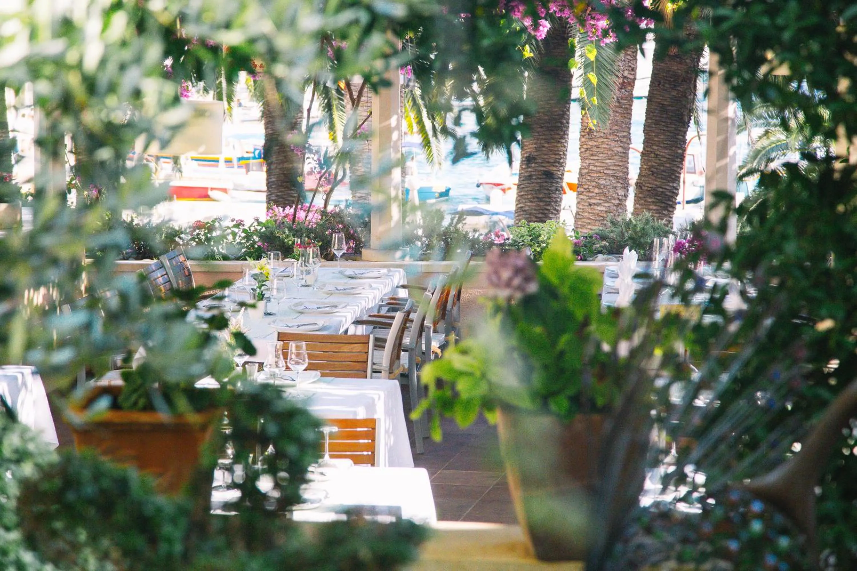 Restaurant/places to eat in Heritage Hotel Park Hvar