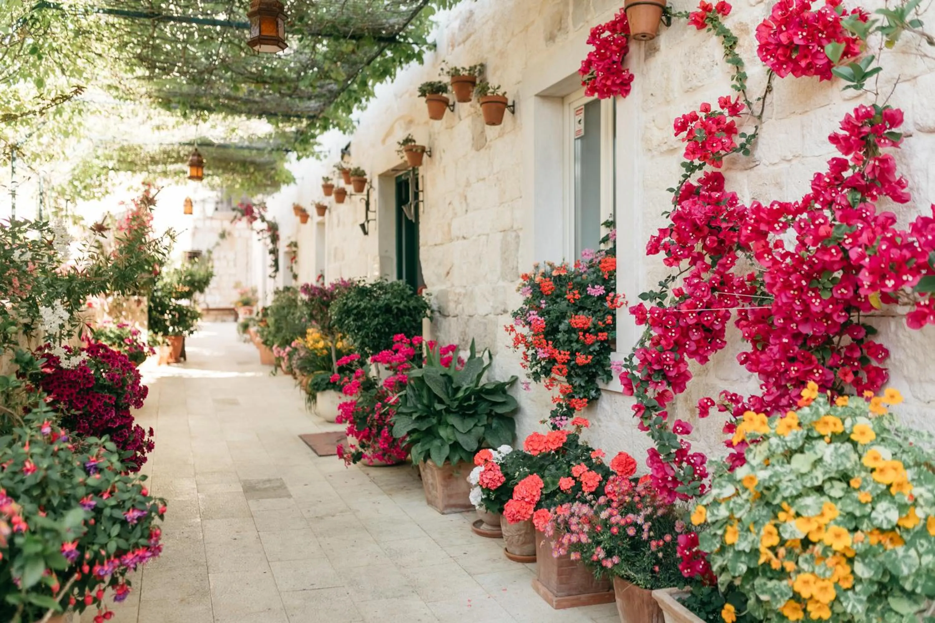 Property building in Heritage Hotel Park Hvar