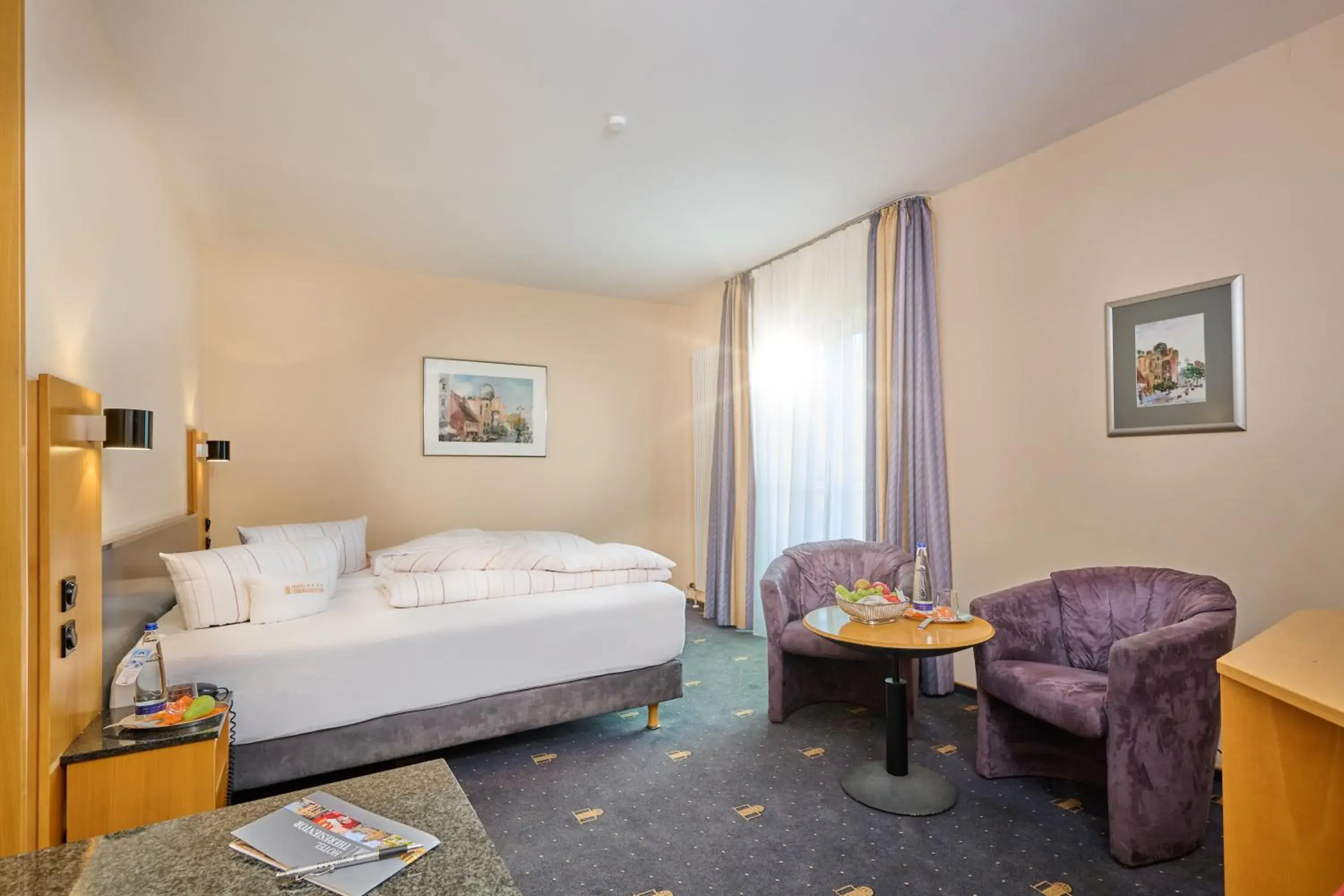 Classic Double Room for Single Use in Hotel Theresientor Classic Double Room for Single Use in Hotel Theresientor