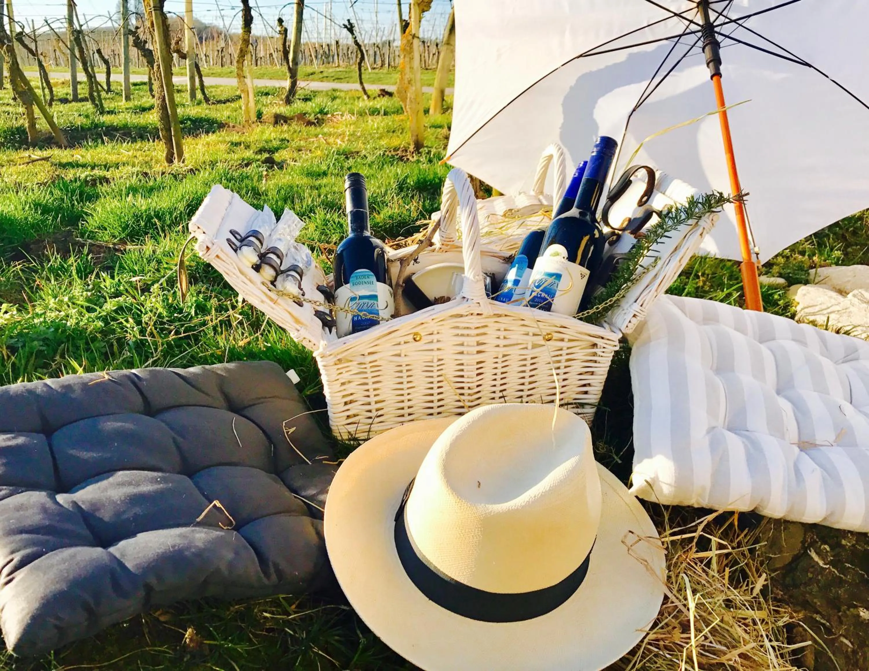 Area and facilities in Burgunderhof Bodensee - Adults only