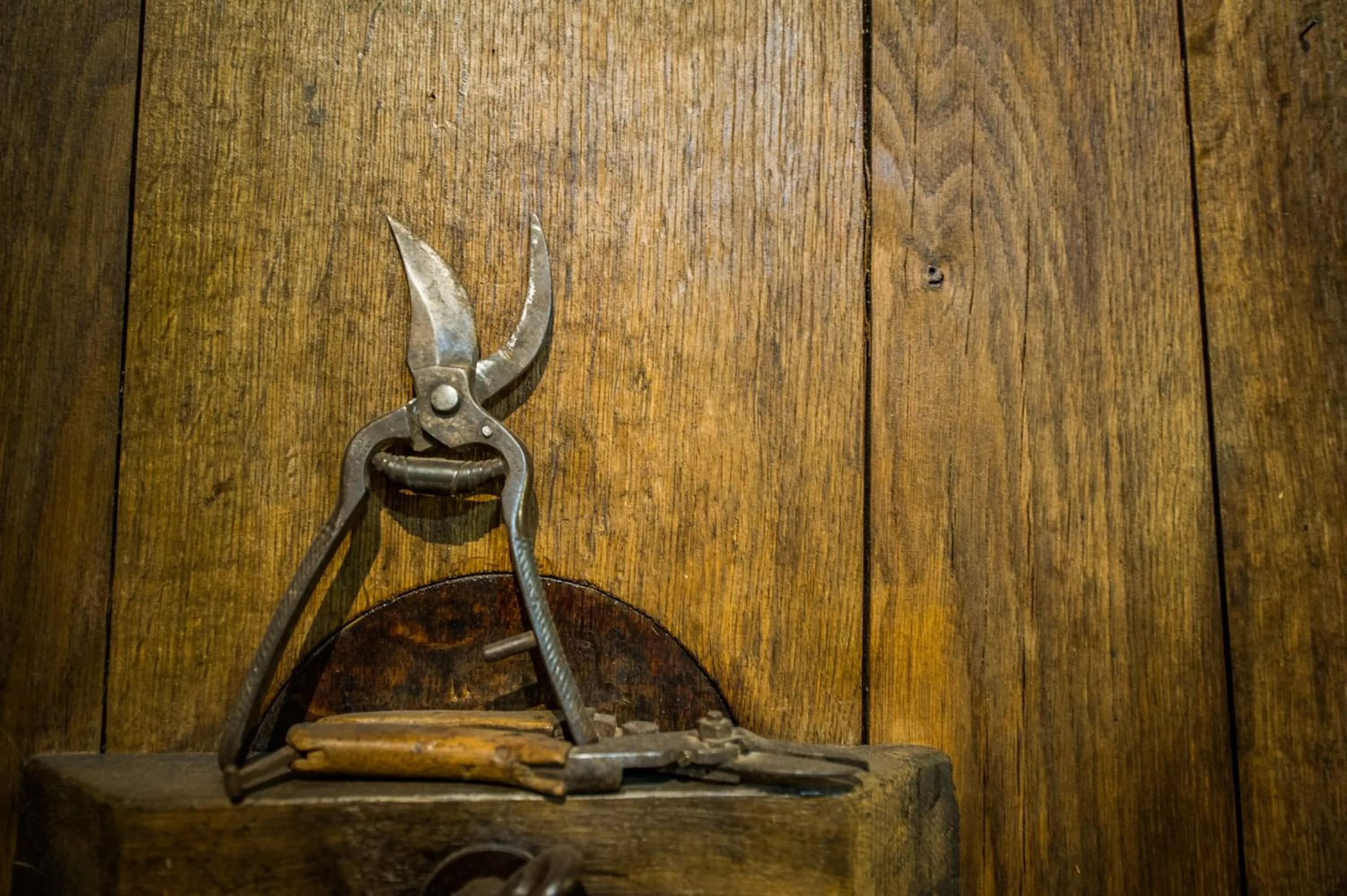 Decorative detail in Burgunderhof Bodensee - Adults only