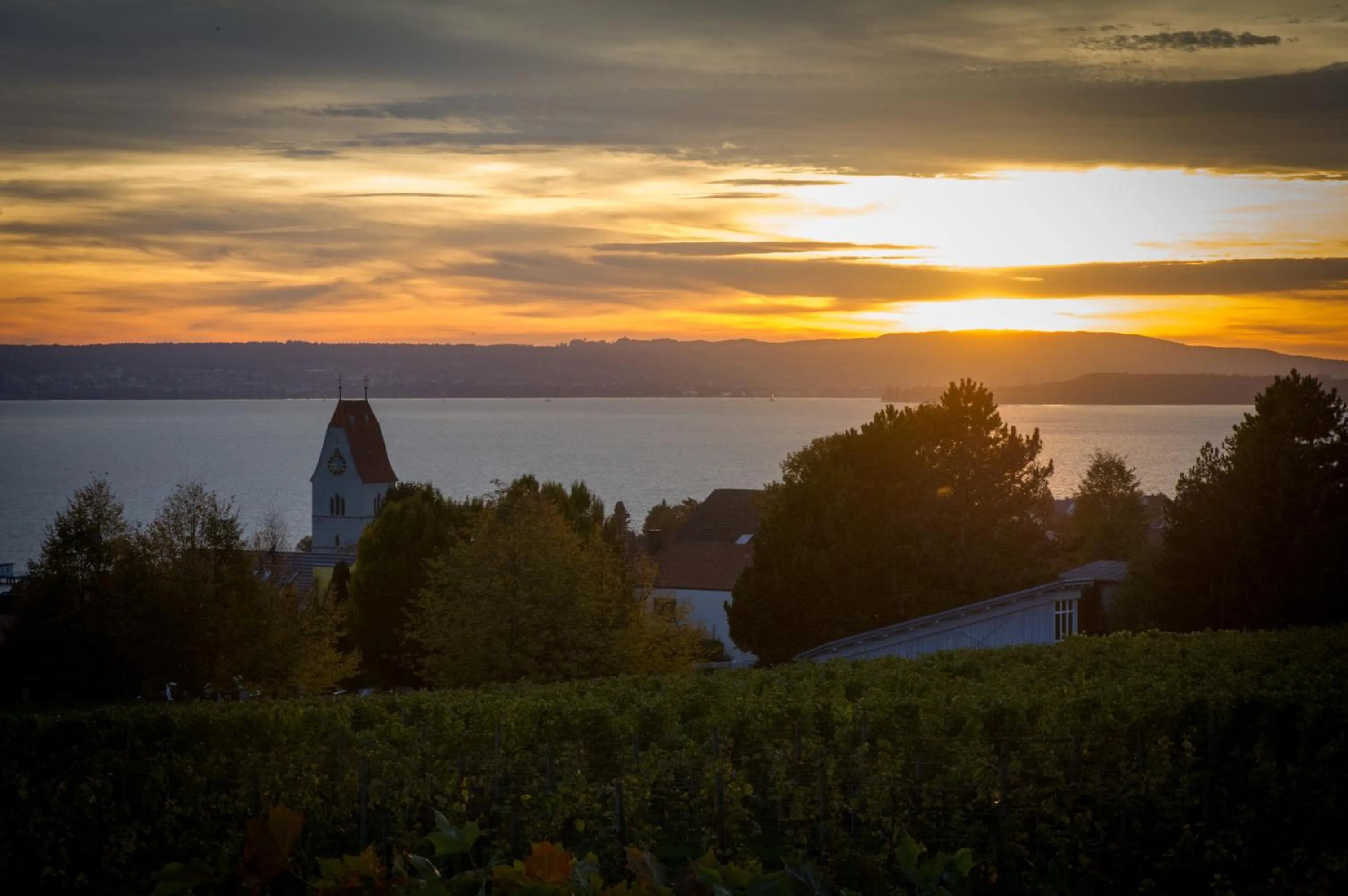 Natural landscape in Burgunderhof Bodensee - Adults only