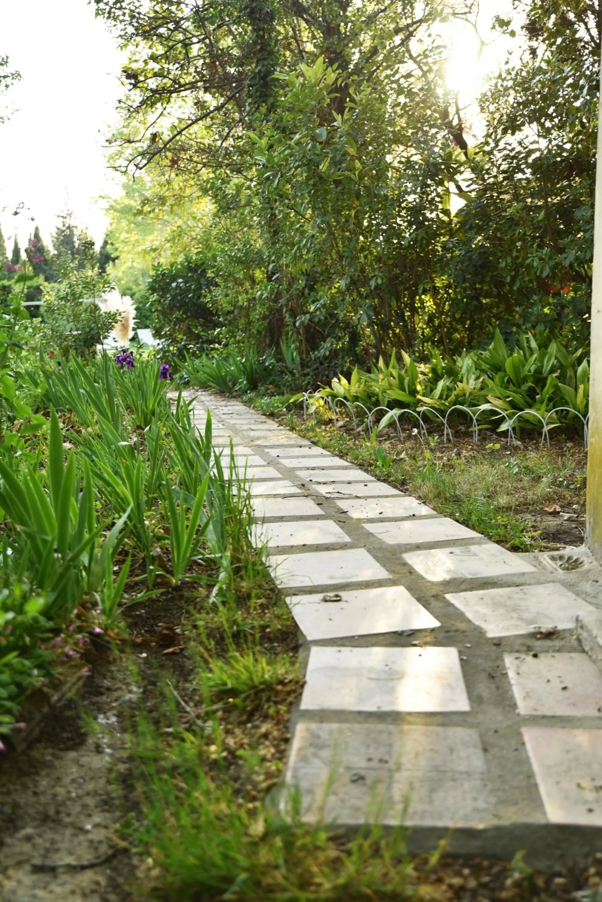 Garden in Embarben Maison d'hôtes