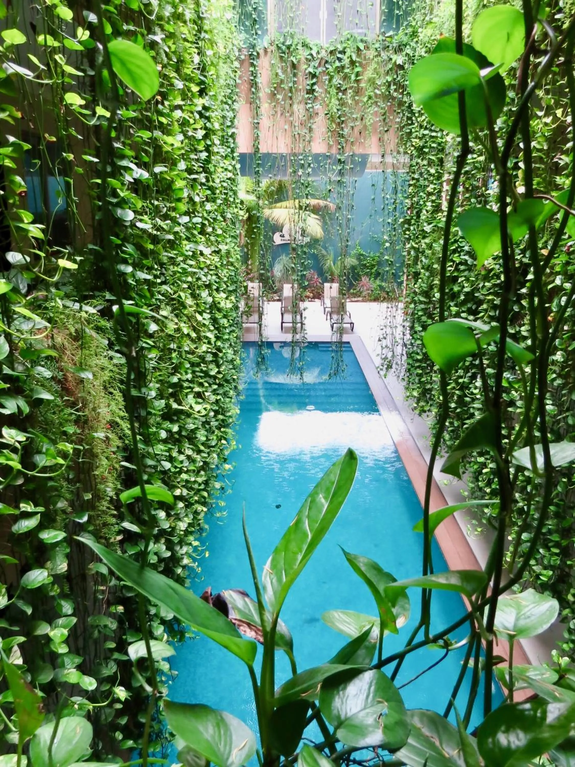 Pool view in PALMARENA by Nah Hotels