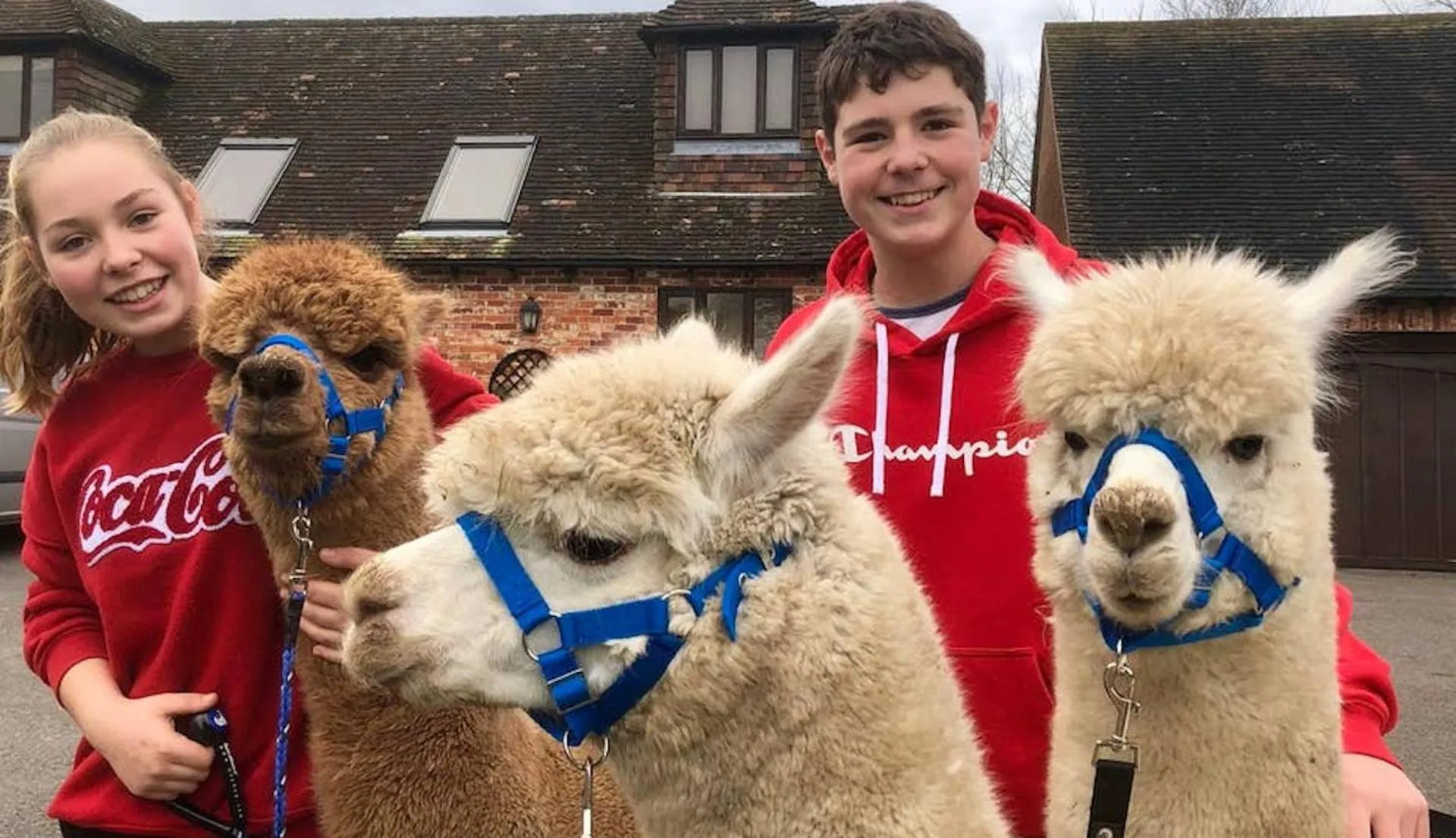 Animals in Northlands Farm - Old Farm Cottage