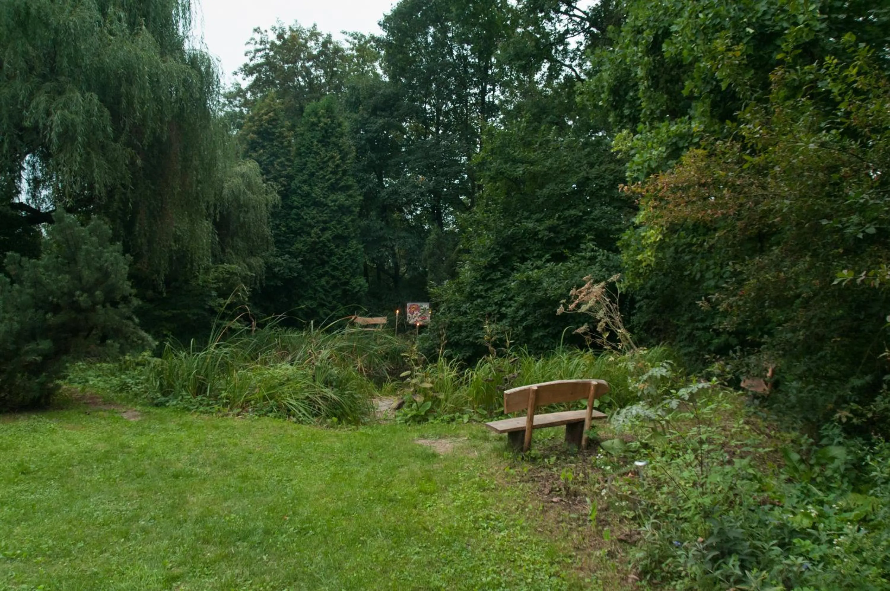 Garden in Ekosamotnia