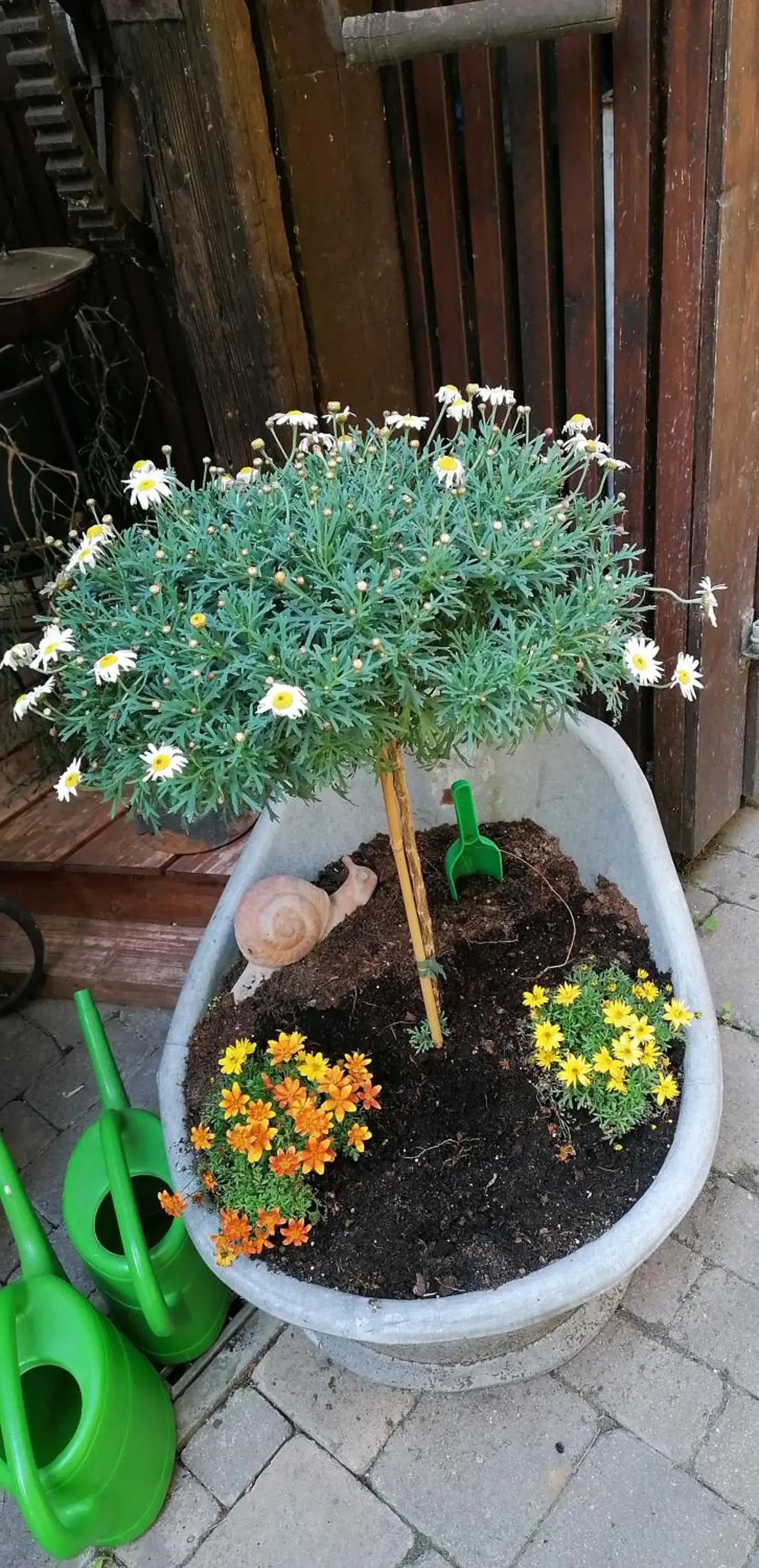 Apartment with Sauna in Adler Gaststube Hotel Biergarten Apartment with Sauna in Adler Gaststube Hotel Biergarten