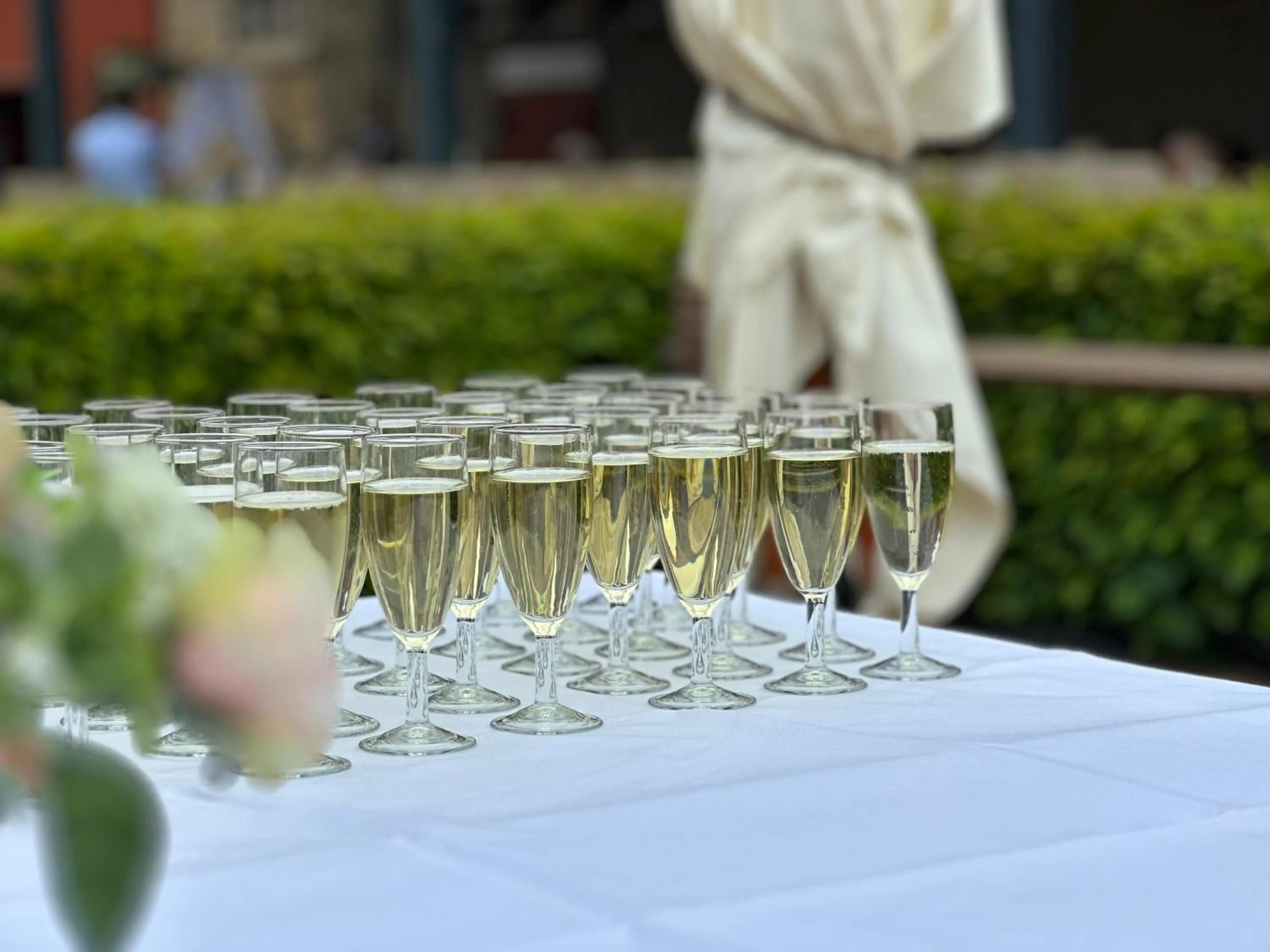 Food and drinks in Hotel Henriettenhof Weimarer Land, Weimar-Bad Berka