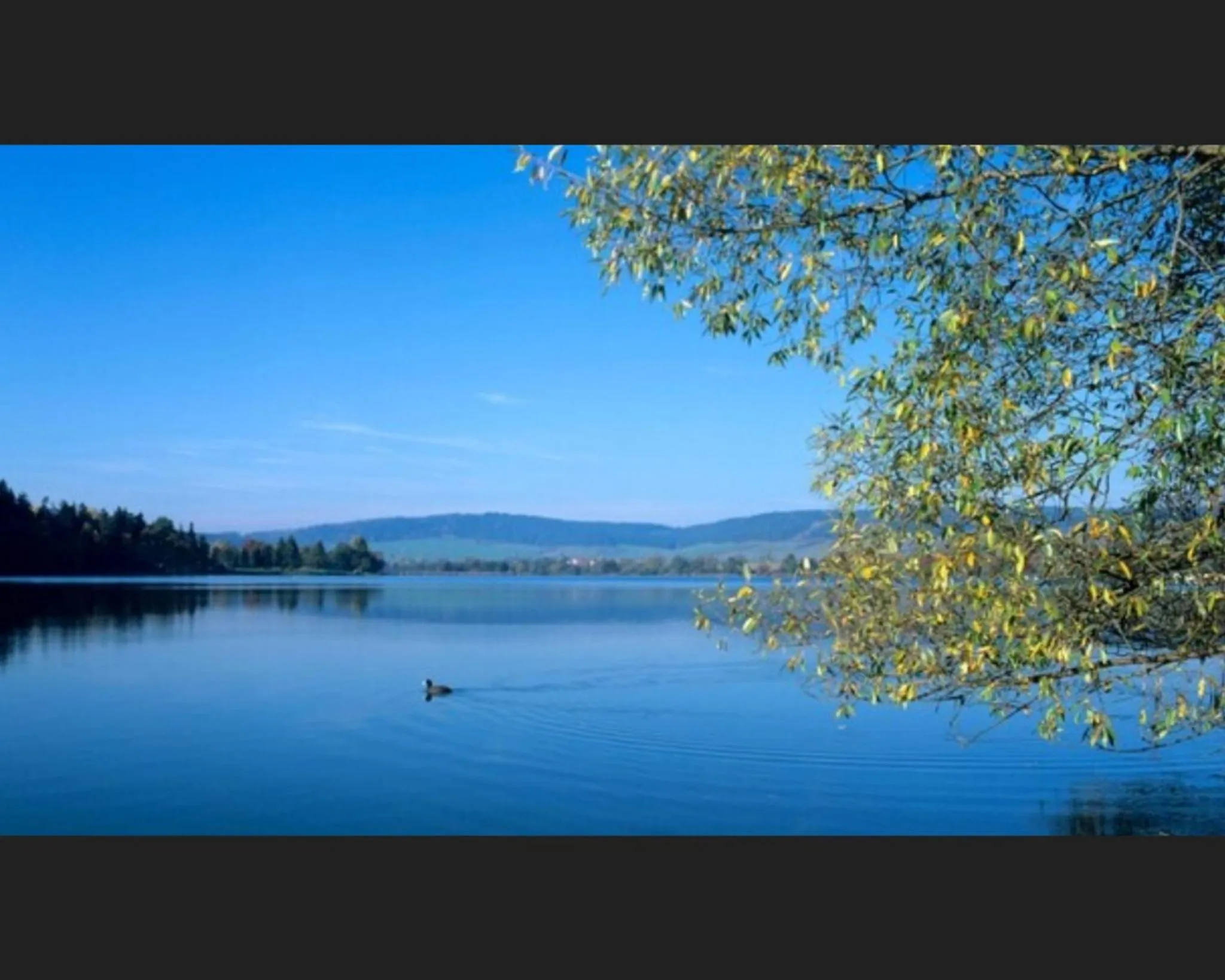 Sports in Hotel Henriettenhof Weimarer Land, Weimar-Bad Berka