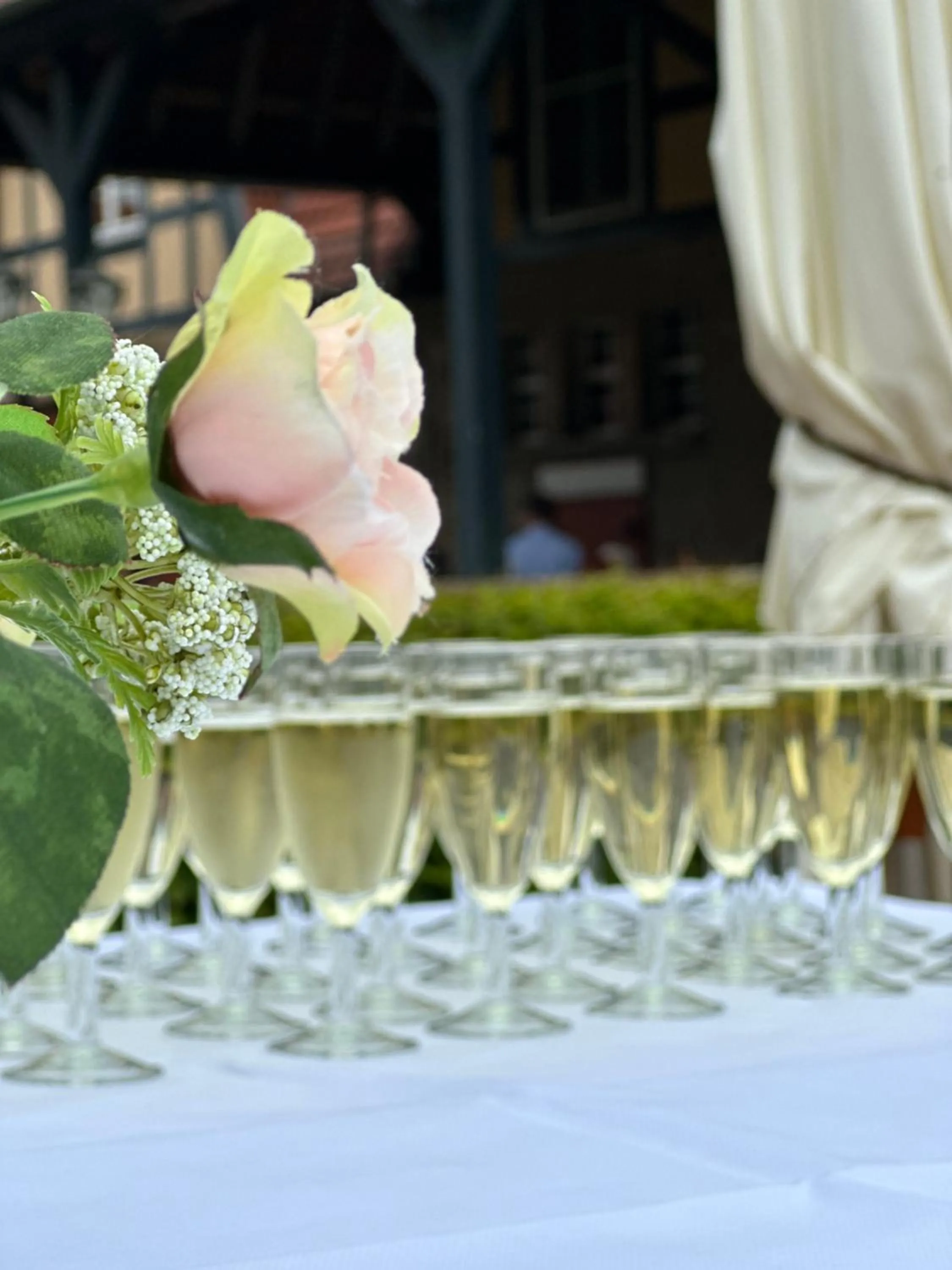 Food and drinks in Hotel Henriettenhof Weimarer Land, Weimar-Bad Berka