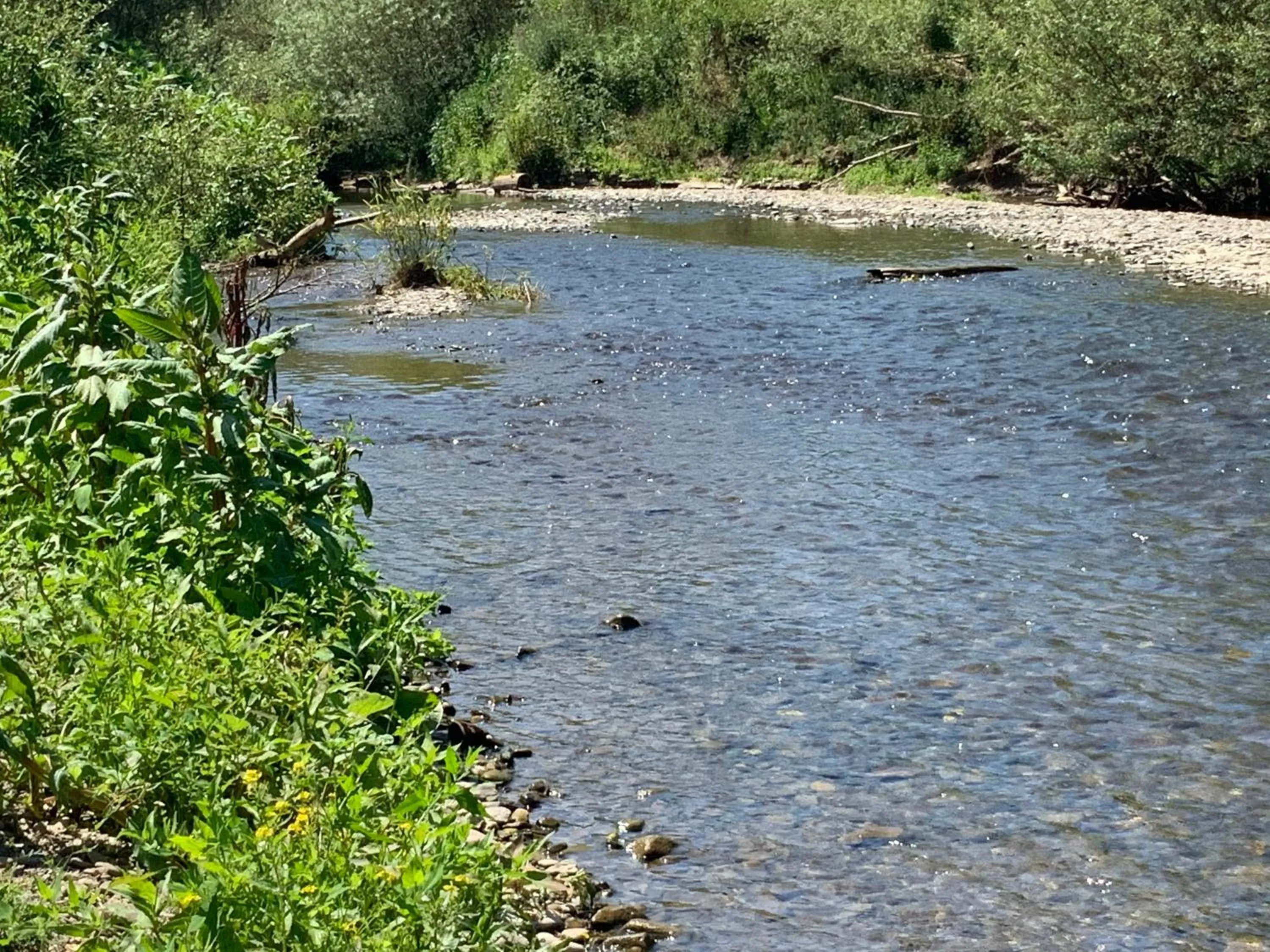 Neighbourhood in RheinVilla ARTE