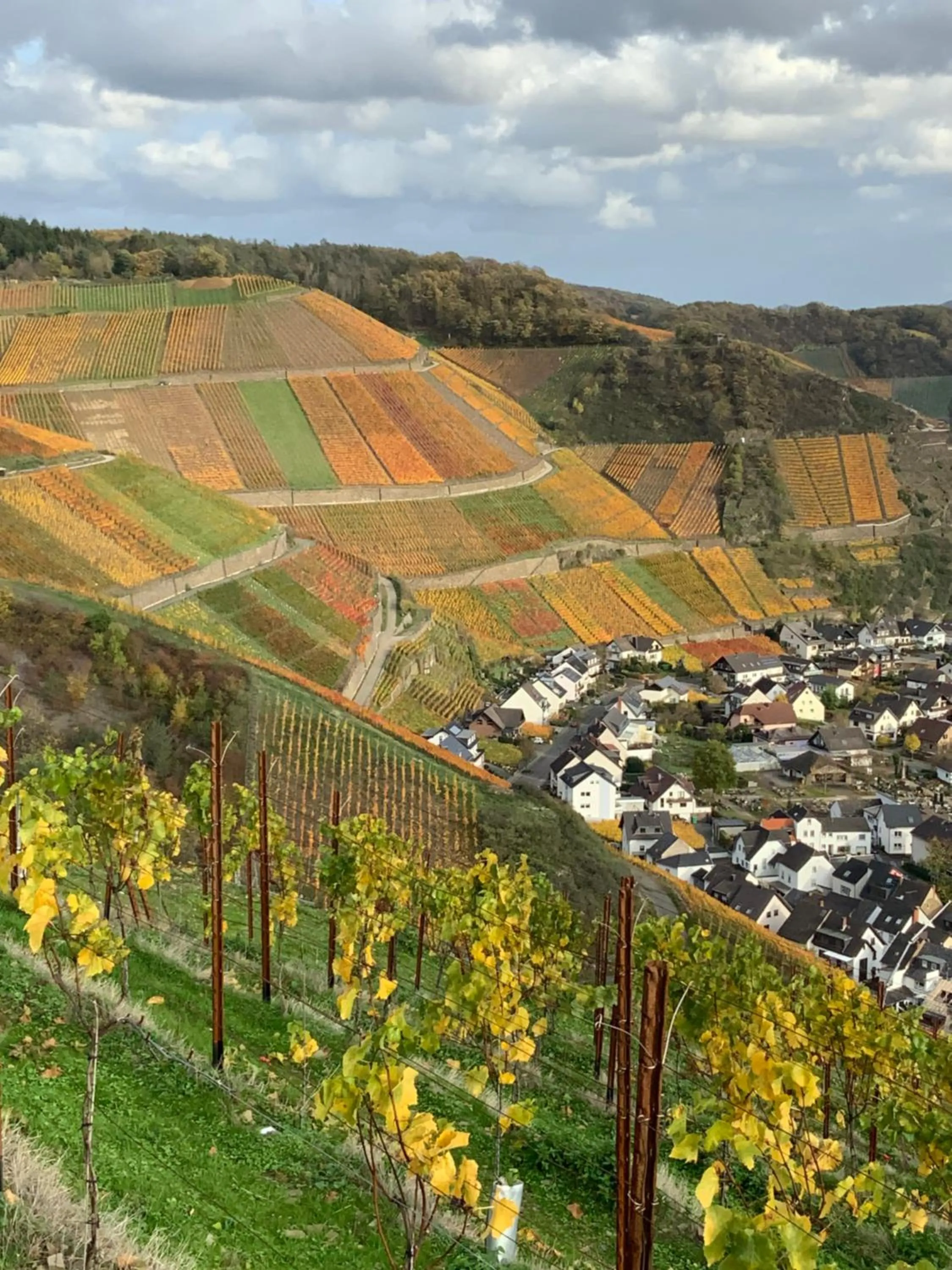 Staff in RheinVilla ARTE