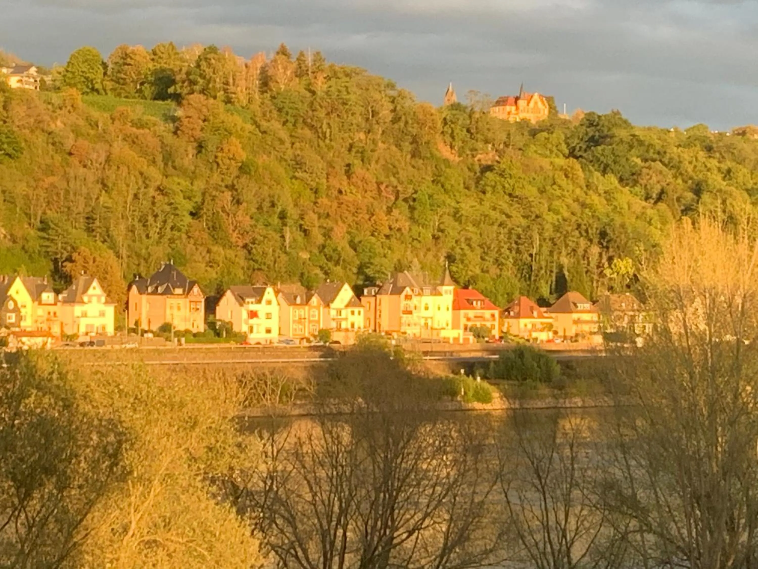 Natural landscape in RheinVilla ARTE