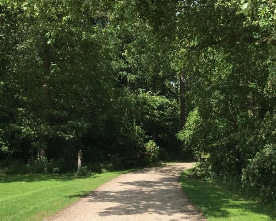 Natural landscape in 't Buitenverblijf Erve Punte