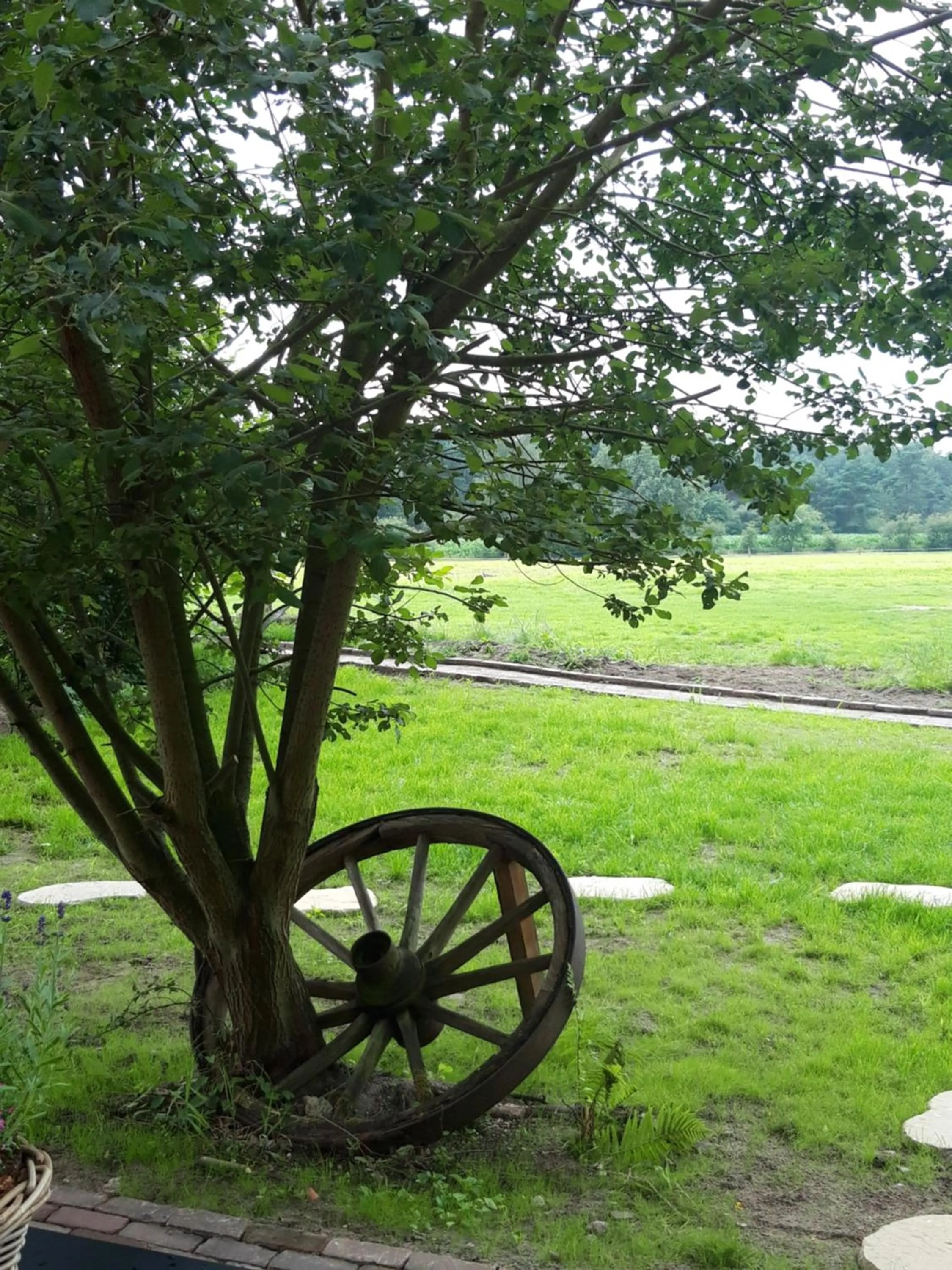 Natural landscape in 't Buitenverblijf Erve Punte