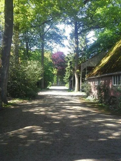 View (from property/room) in 't Buitenverblijf Erve Punte