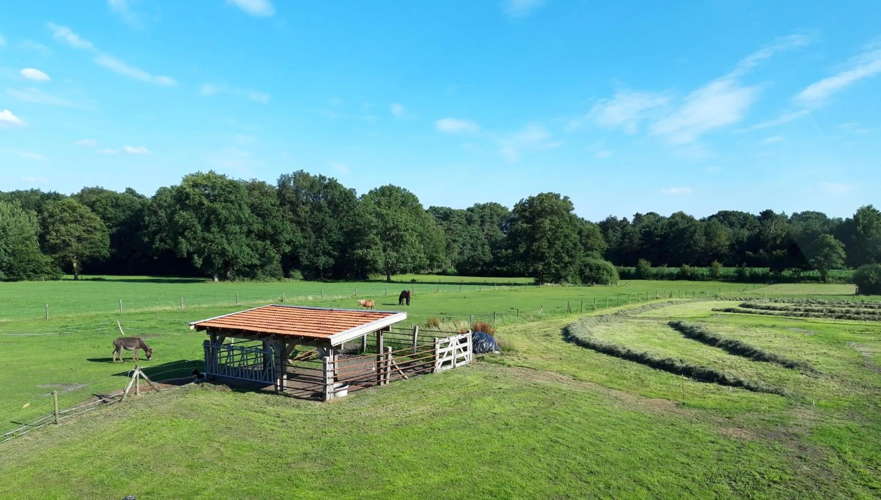 View (from property/room) in 't Buitenverblijf Erve Punte