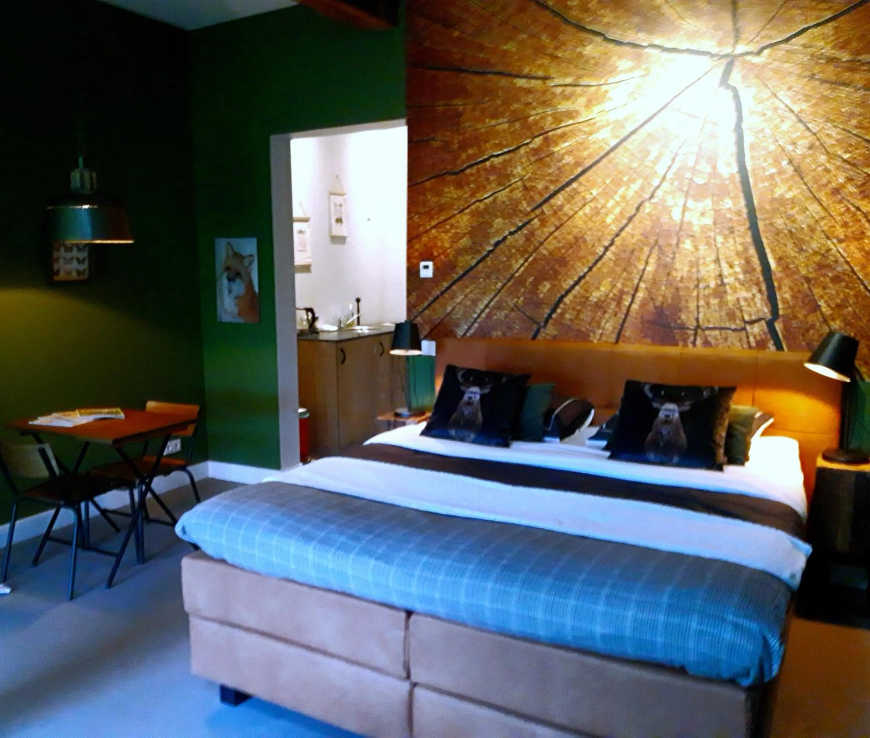 Kitchen or kitchenette, Bed in 't Buitenverblijf Erve Punte