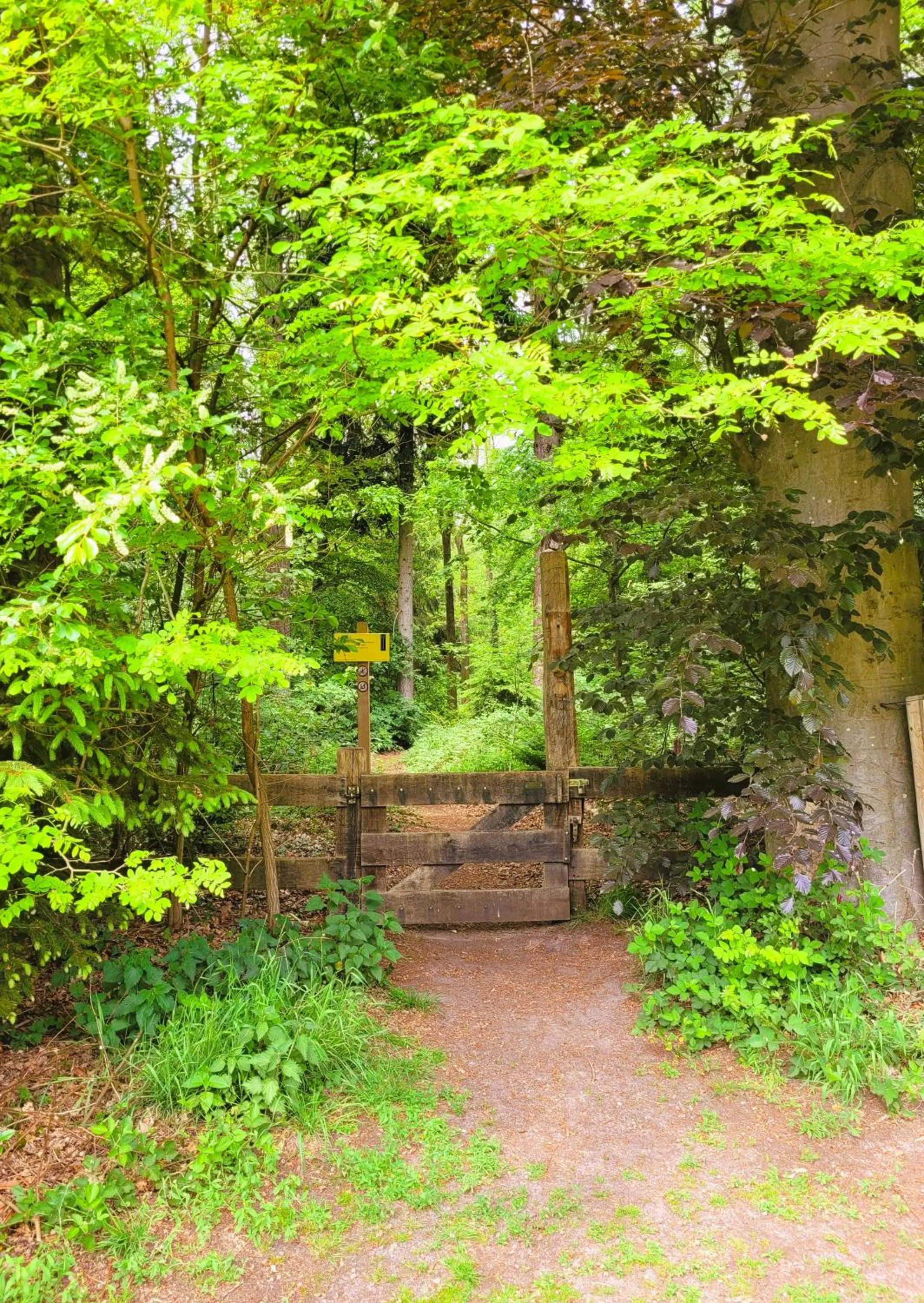 Natural landscape in 't Buitenverblijf Erve Punte