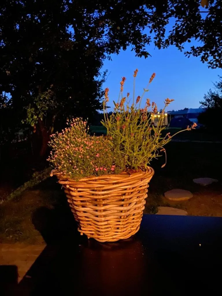 Balcony/Terrace in 't Buitenverblijf Erve Punte