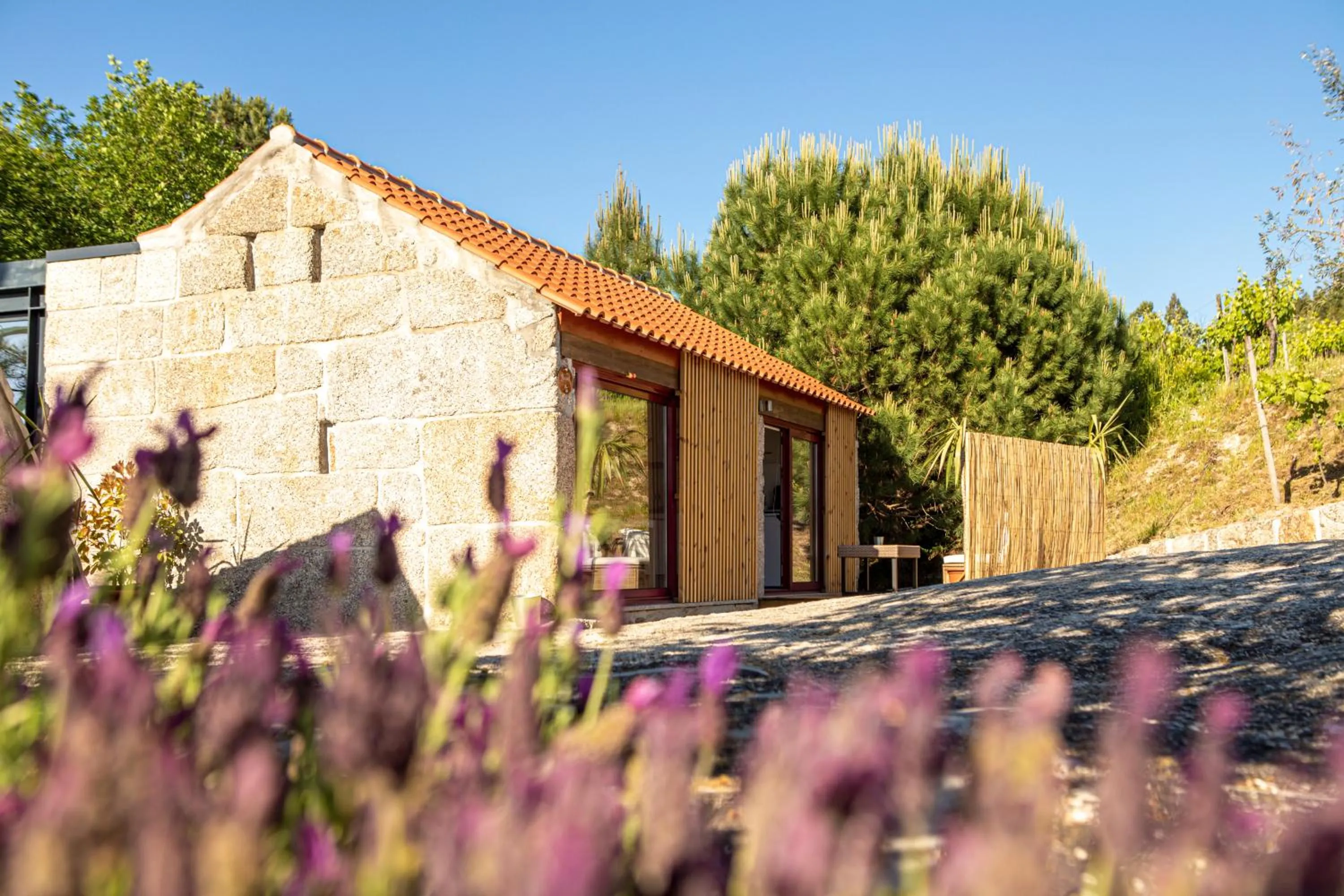 Patio in Peso Village