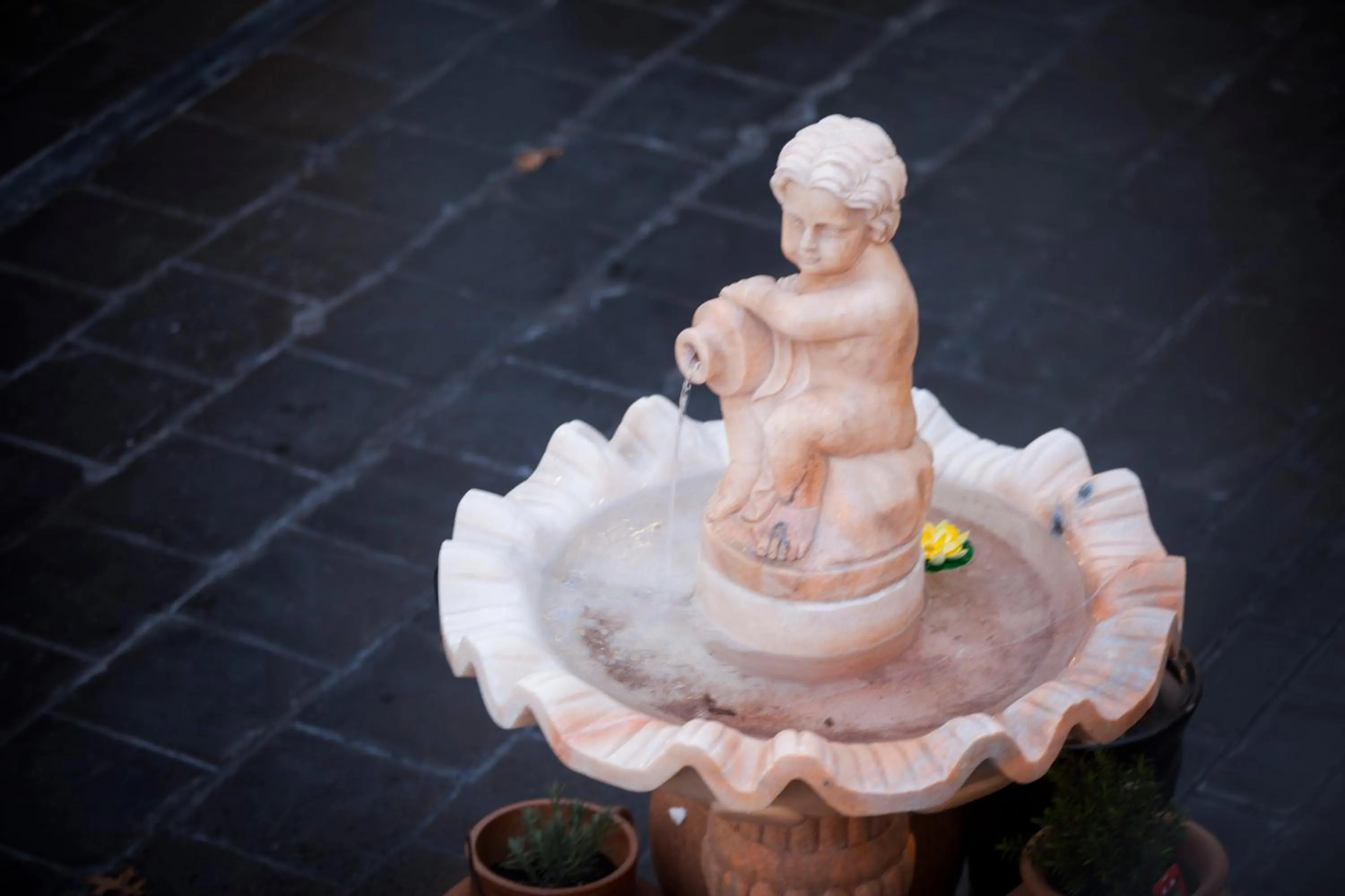 View (from property/room) in The Salisbury