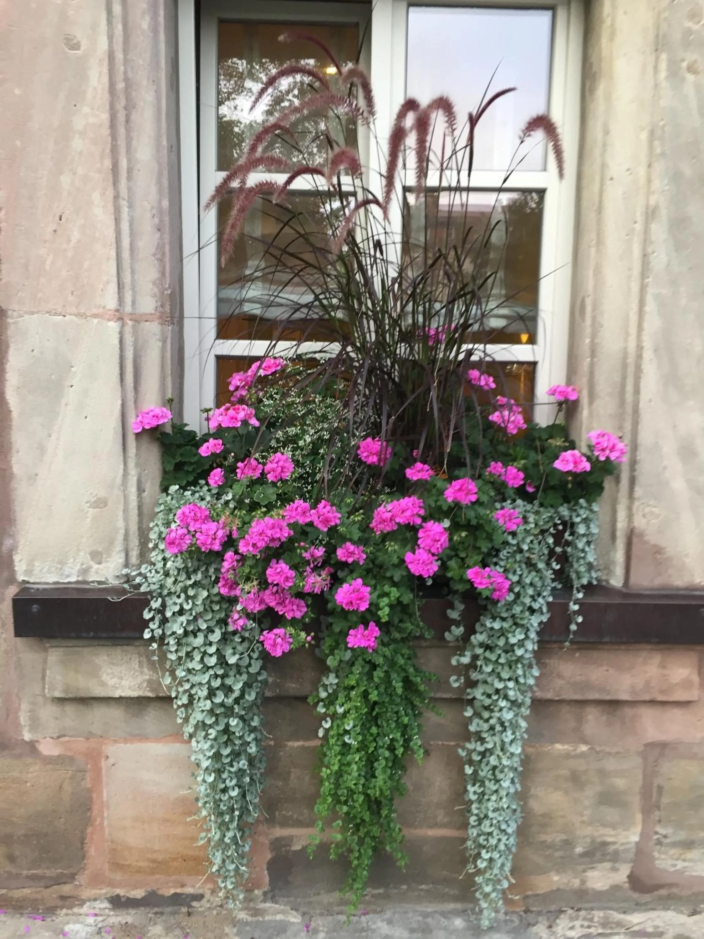 Facade/entrance in Altmann's Stube