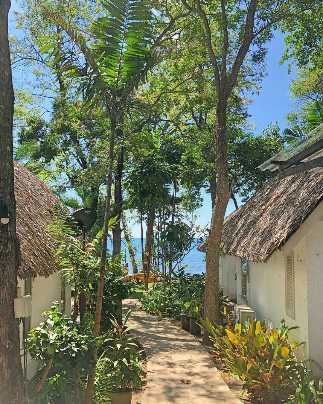 Facade/entrance in Saffron On The Sea Resort