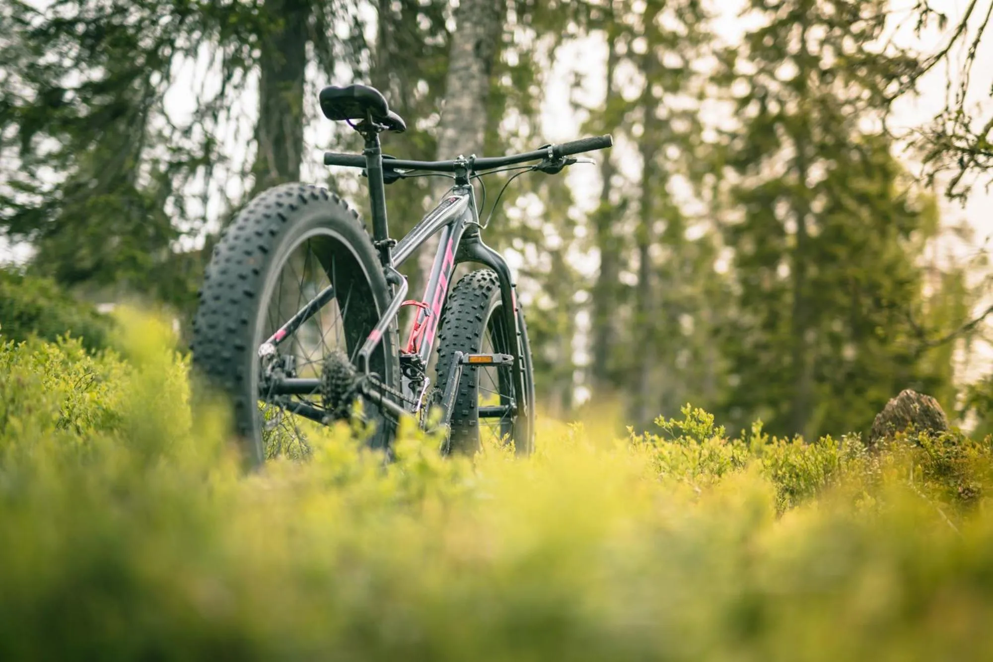 Summer in Ski-Inn RukaTonttu