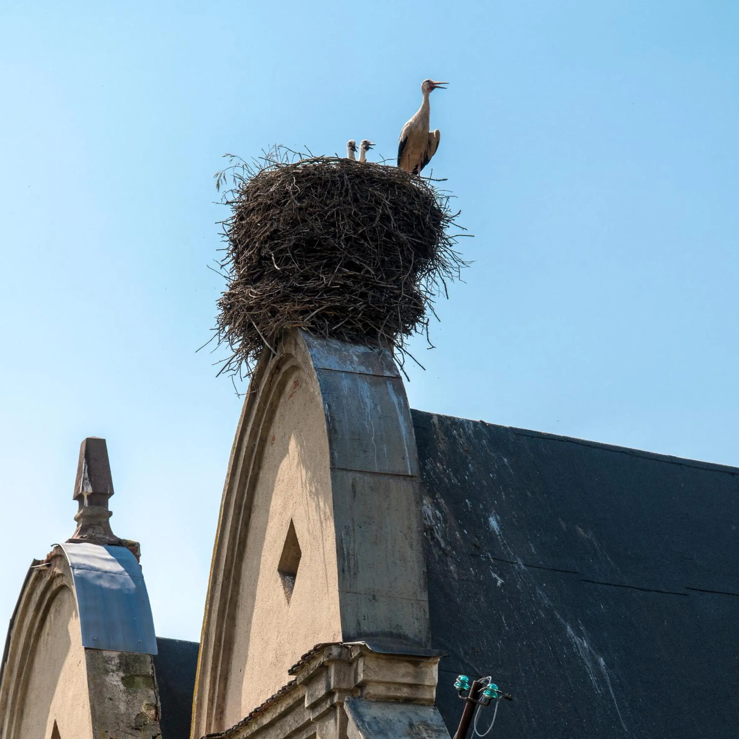 Other in Zamek Sarny - Schloss Scharfeneck