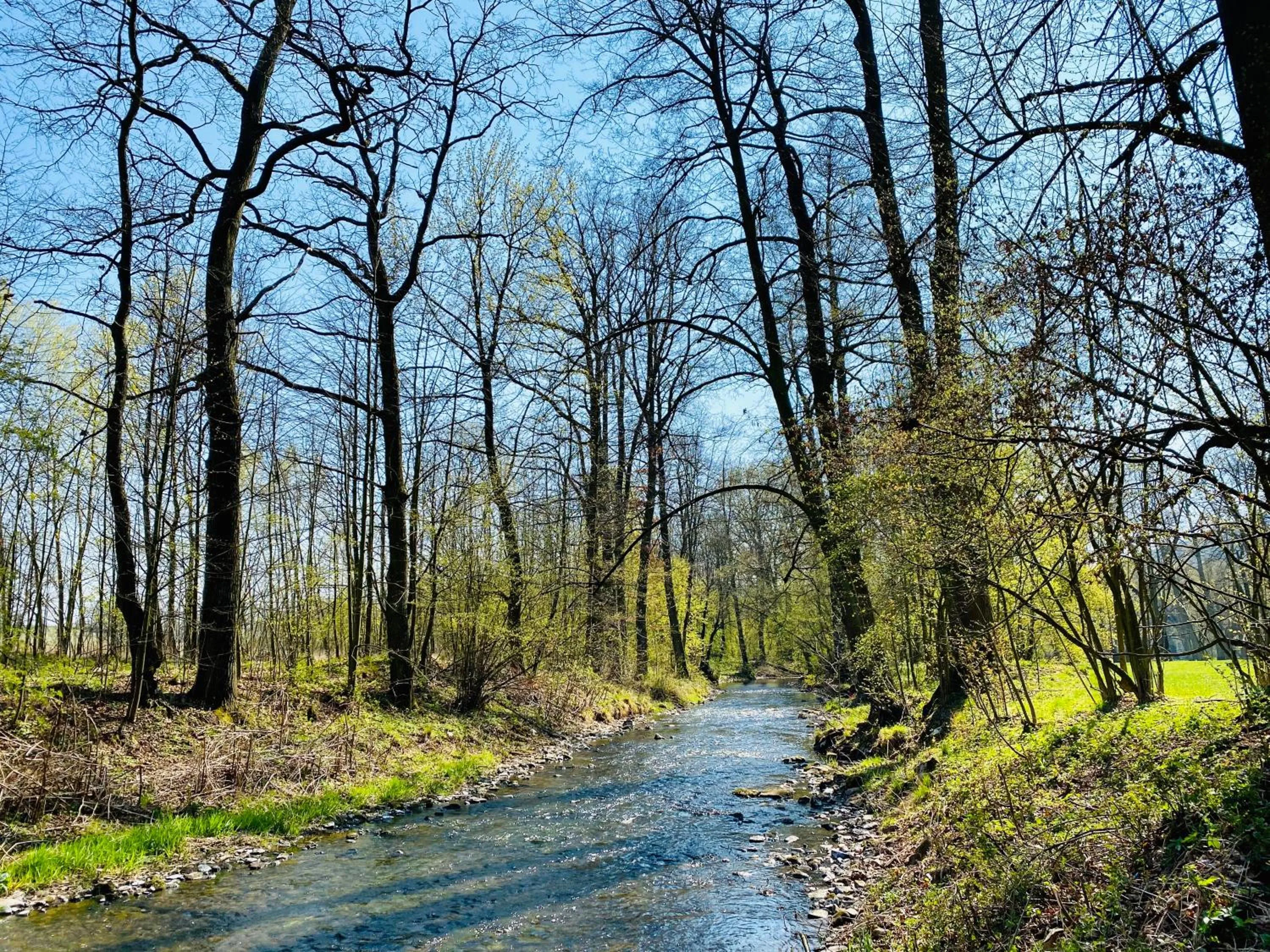 Natural landscape in Zamek Sarny - Schloss Scharfeneck