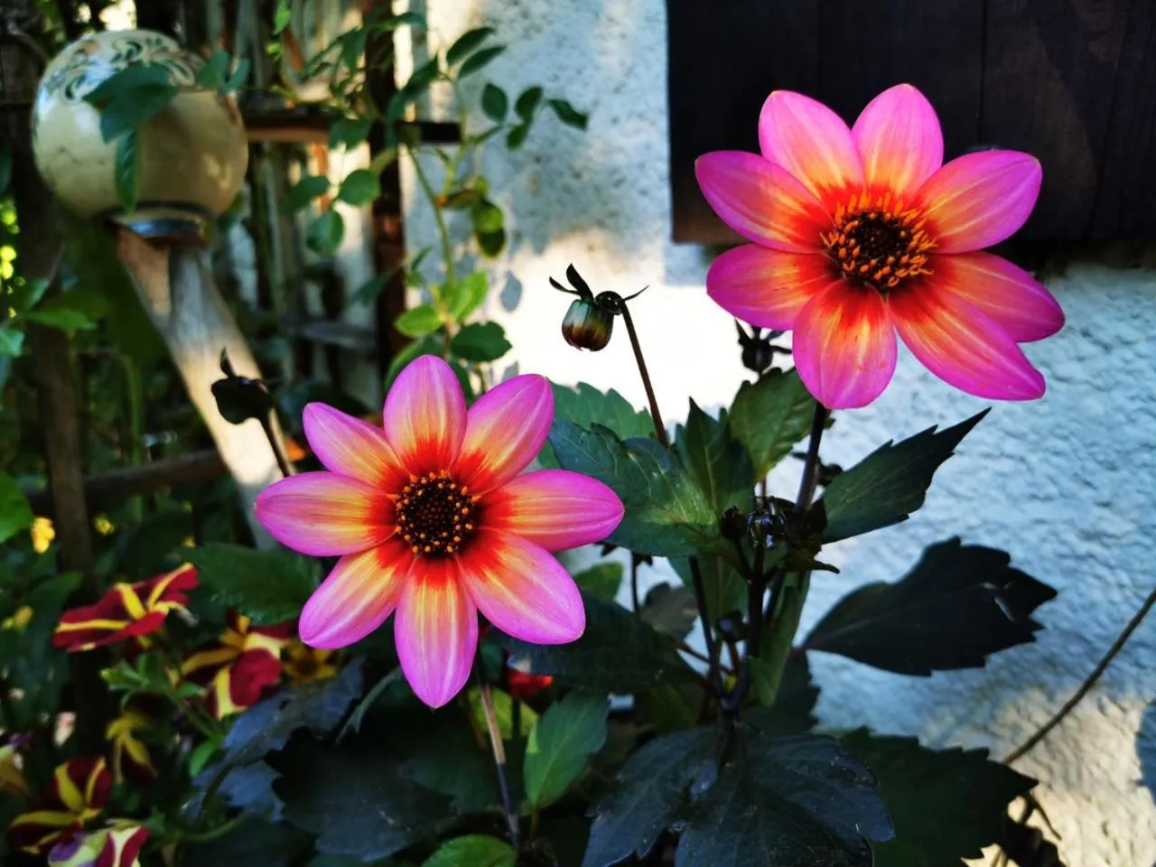 Property building in Gästehaus Neu am Passionstheater