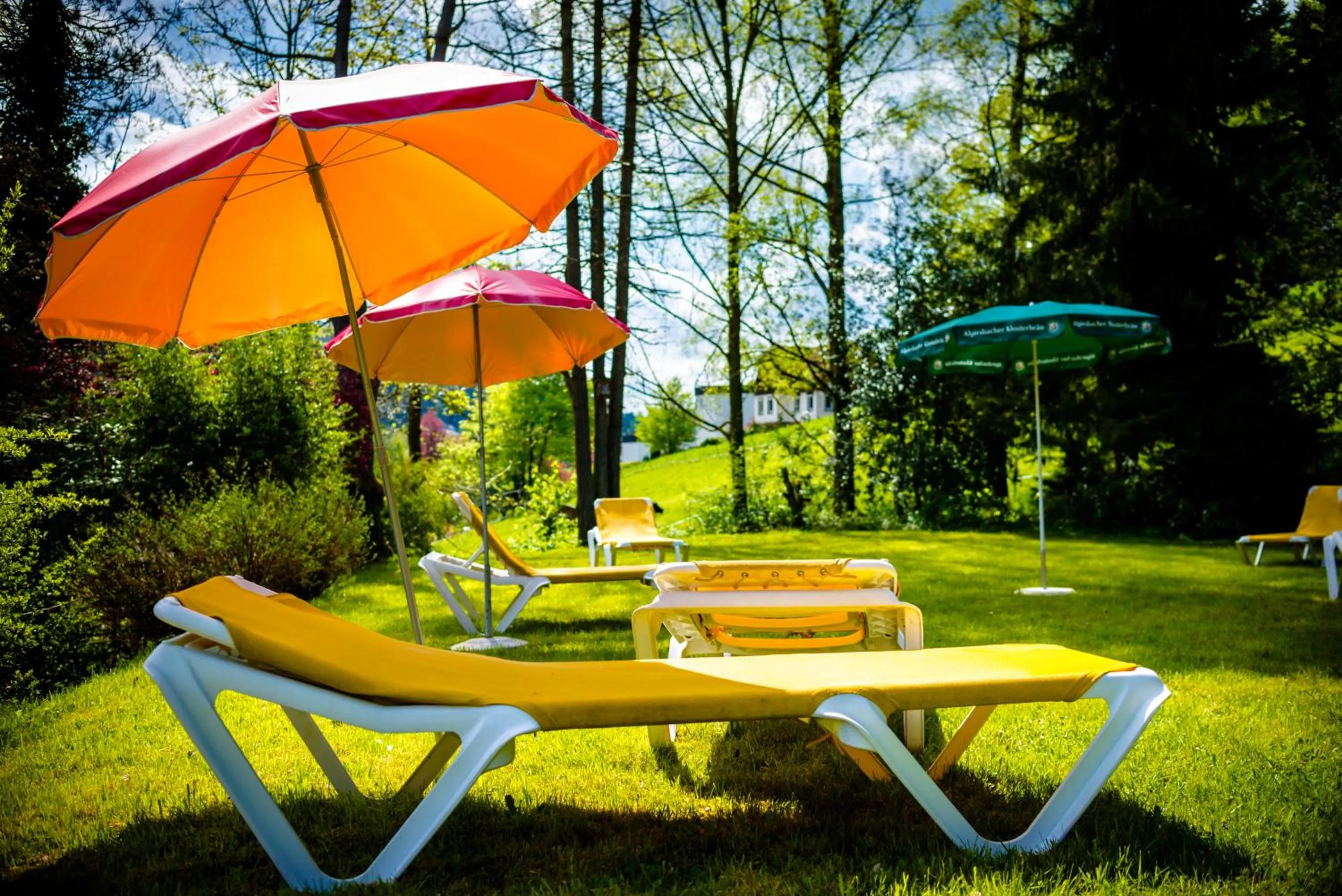 Garden view in Holzschuhs Schwarzwaldhotel