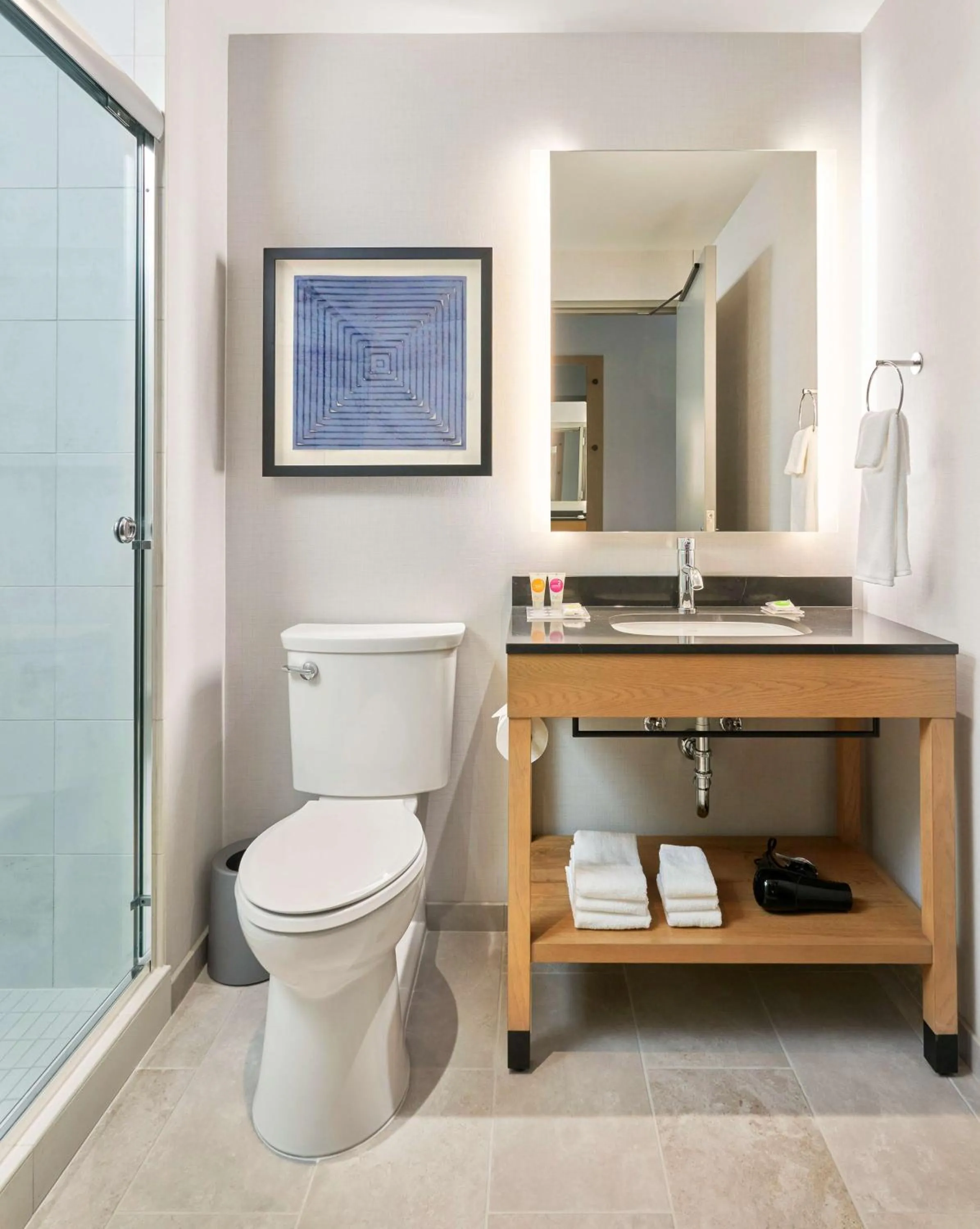 Bathroom in Hyatt Place Chicago Medical/University District