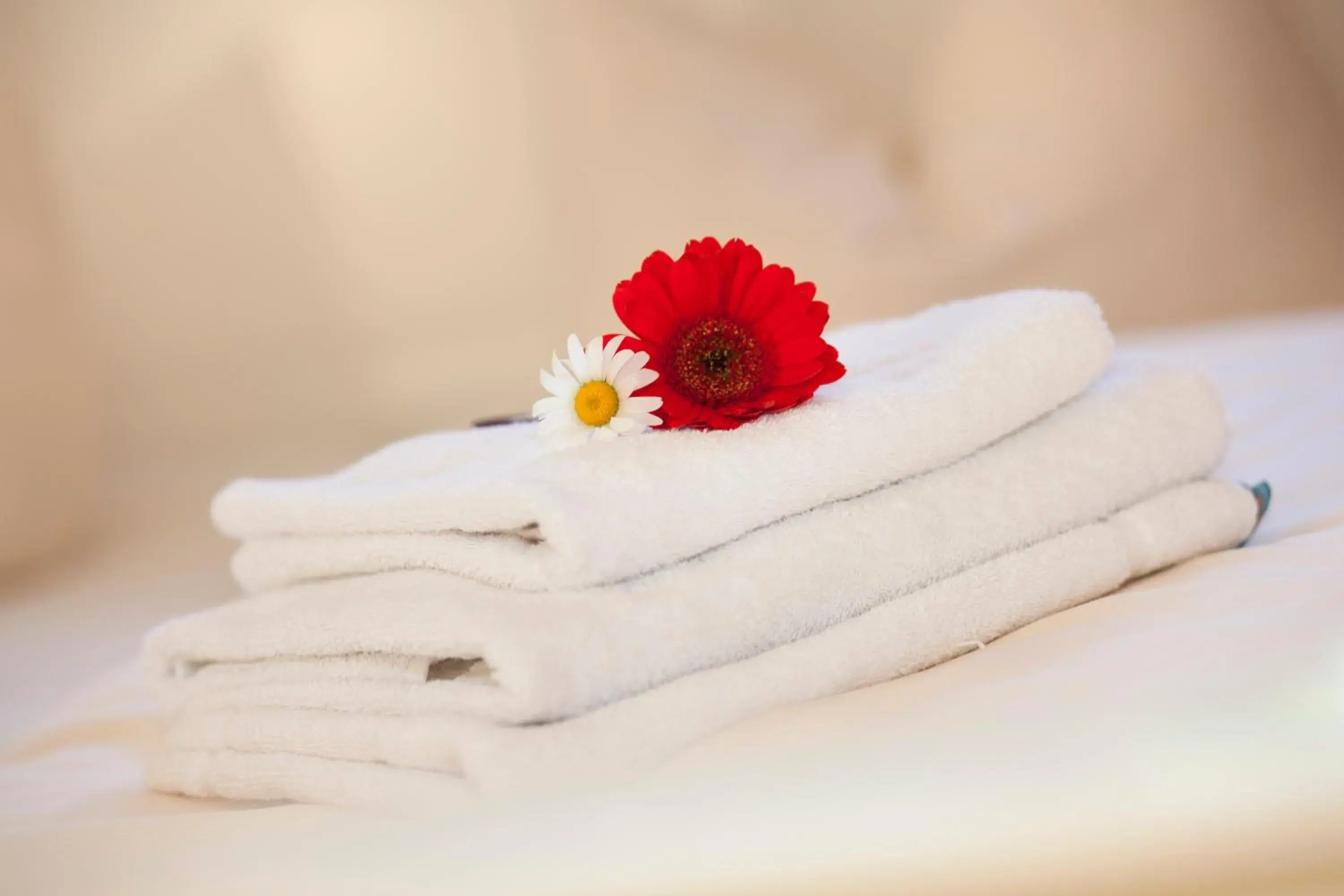 One-Bedroom Apartment (6 Adults) in Hotelpension zum Gockl One-Bedroom Apartment (6 Adults) in Hotelpension zum Gockl