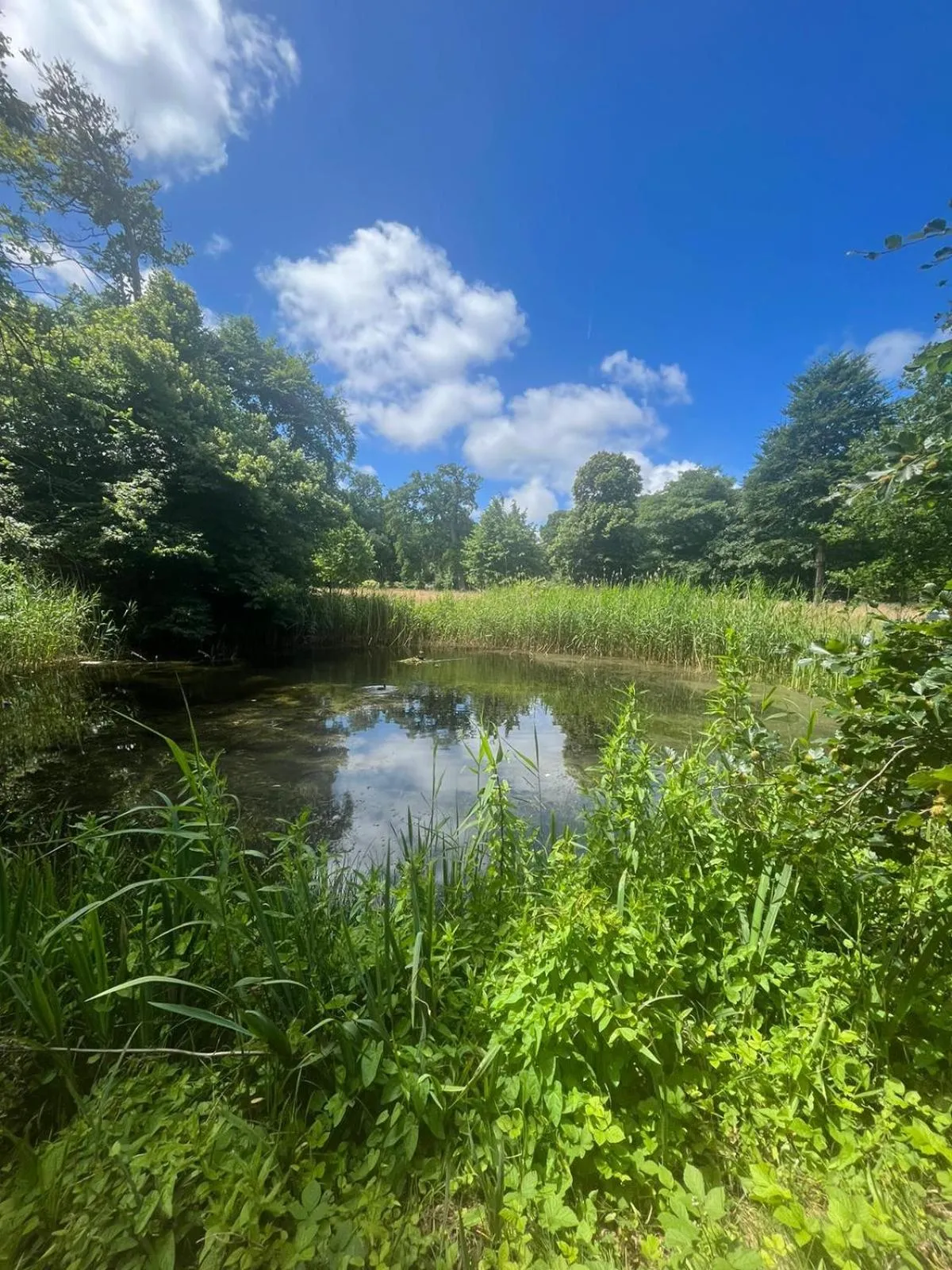 Garden in Eco Hotel Plantage Rococo