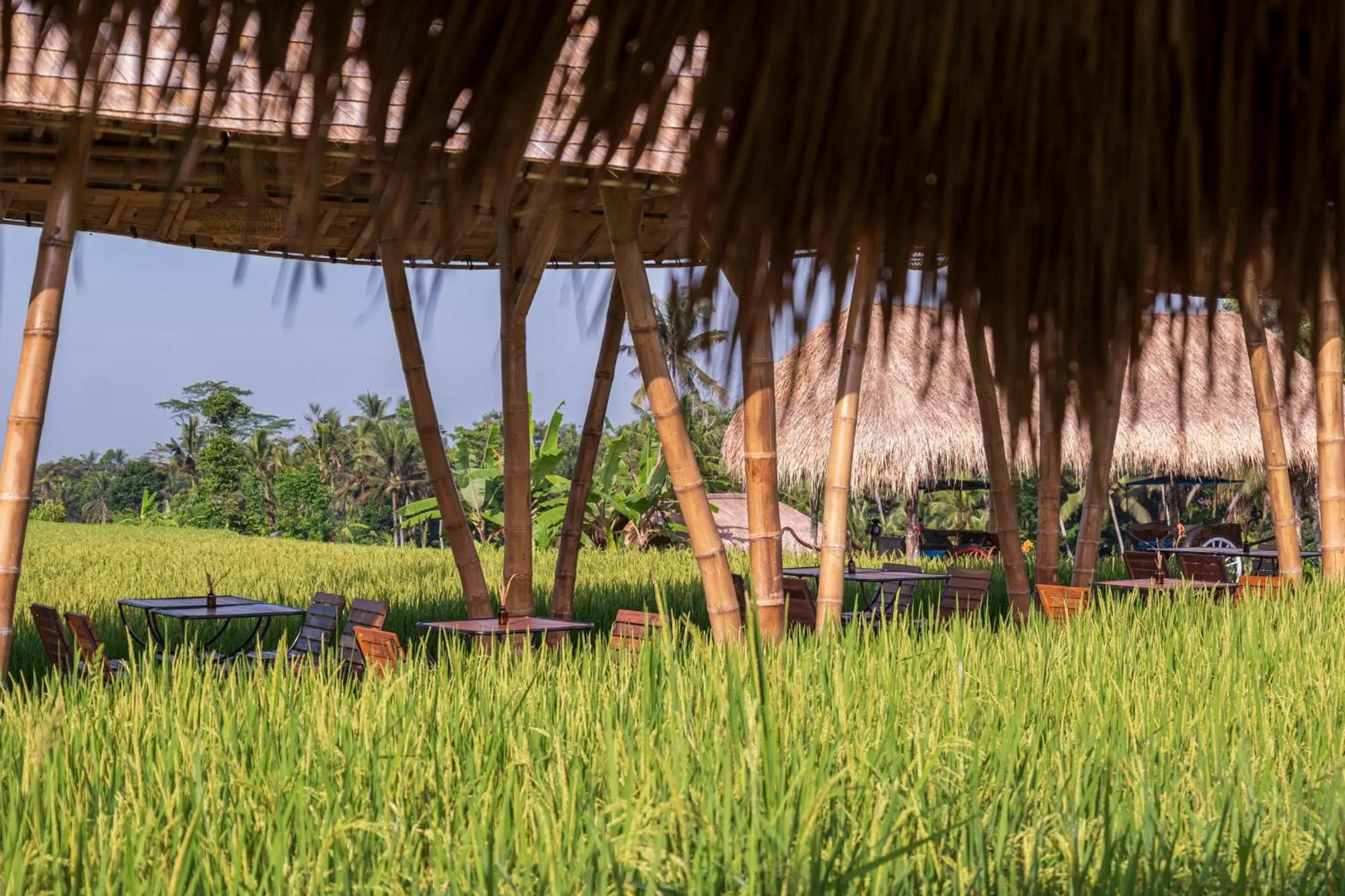 Restaurant/places to eat in The Sun of Granary Resort and Villas