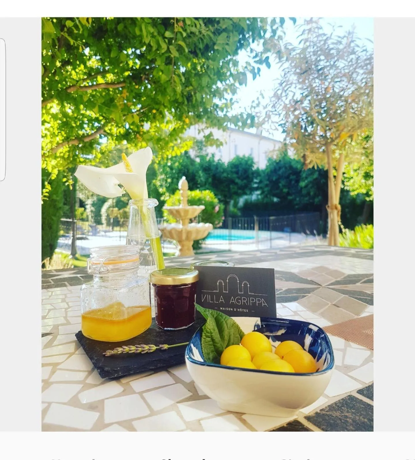 Breakfast in Villa Agrippa