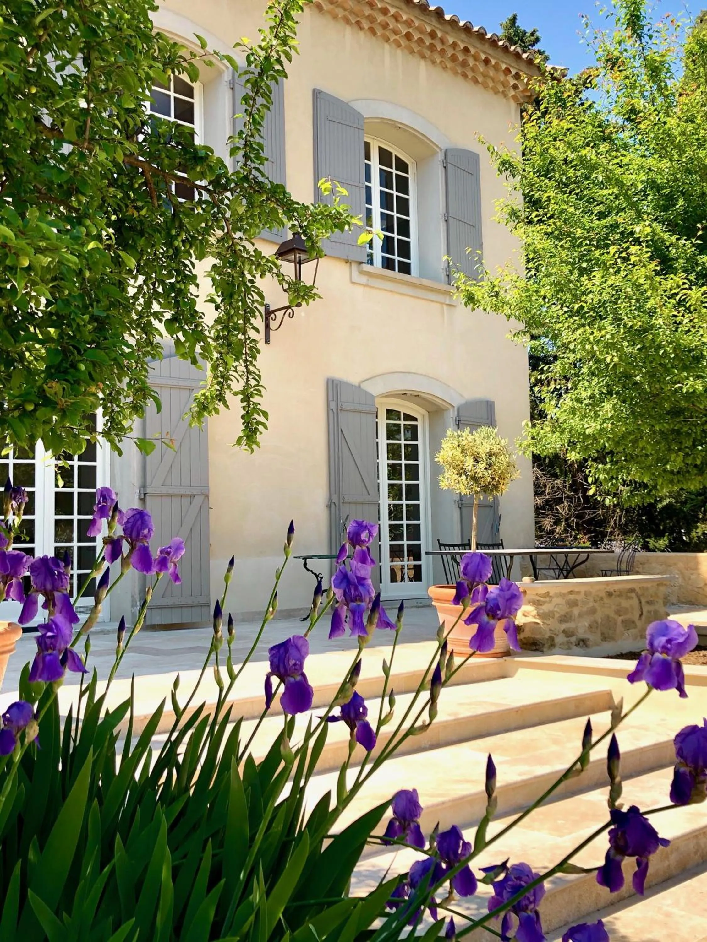 Property building in Villa Agrippa