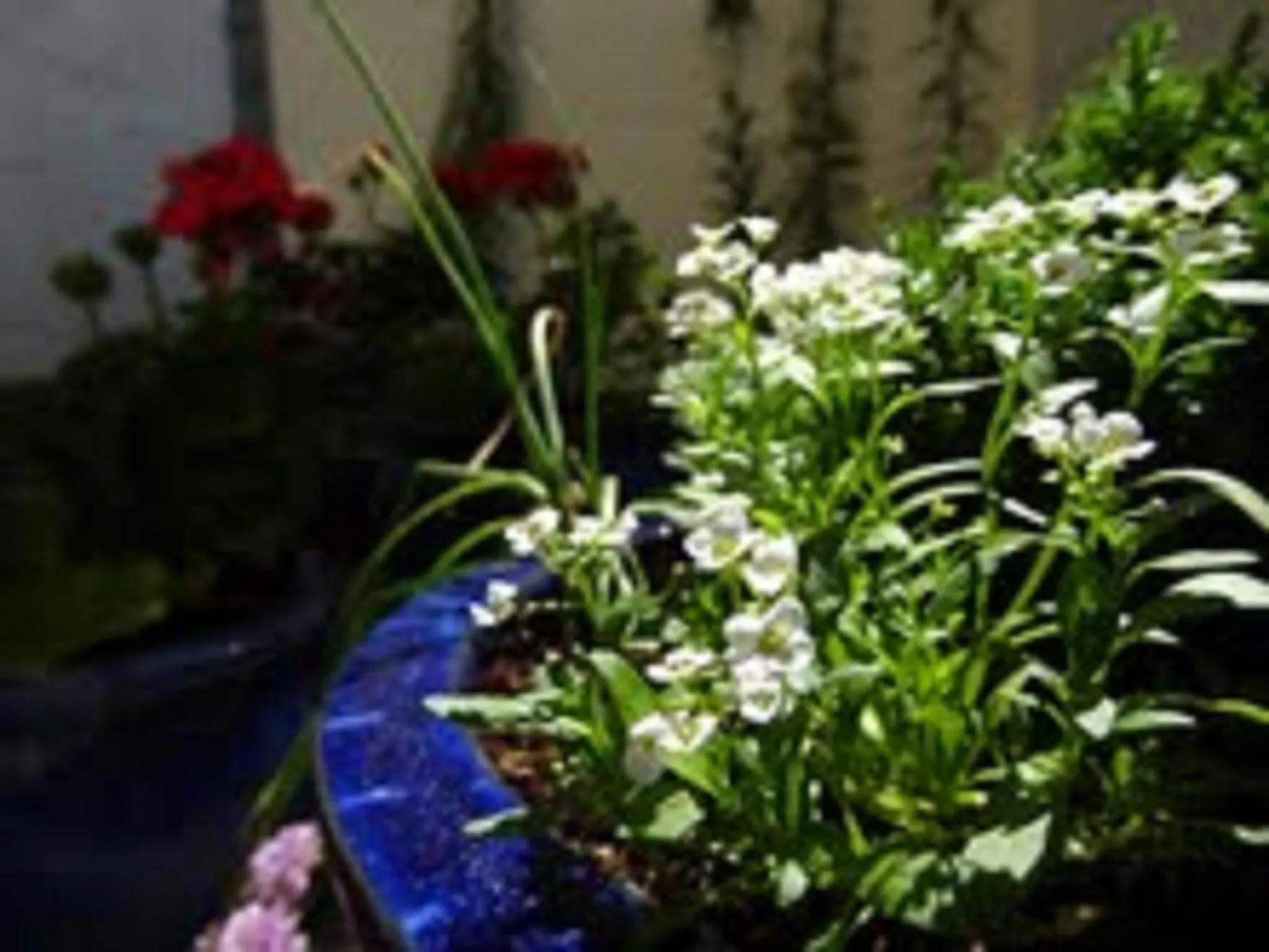 Decorative detail in The Waterside B&B