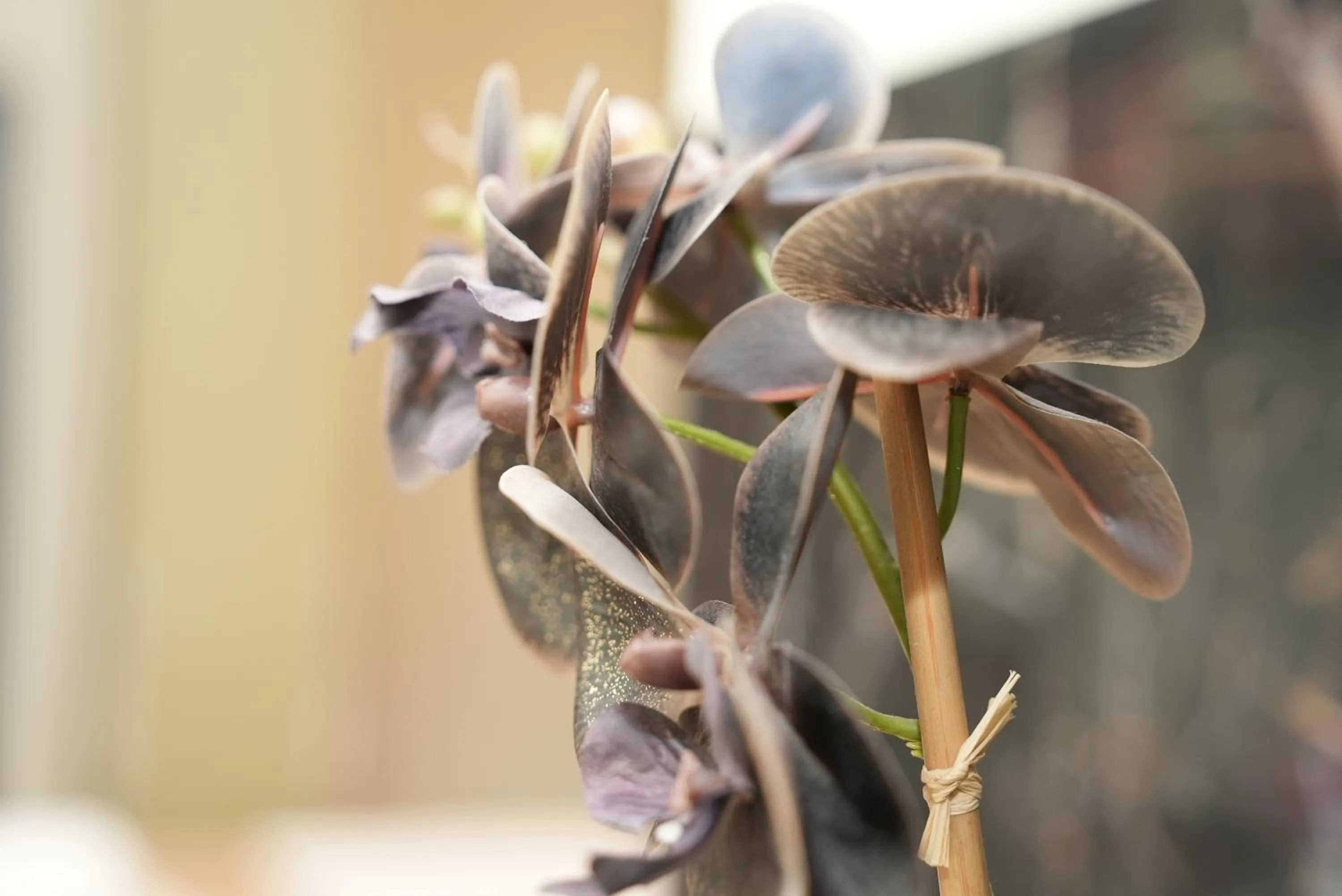 Spring in Hotel Attaché an der Messe