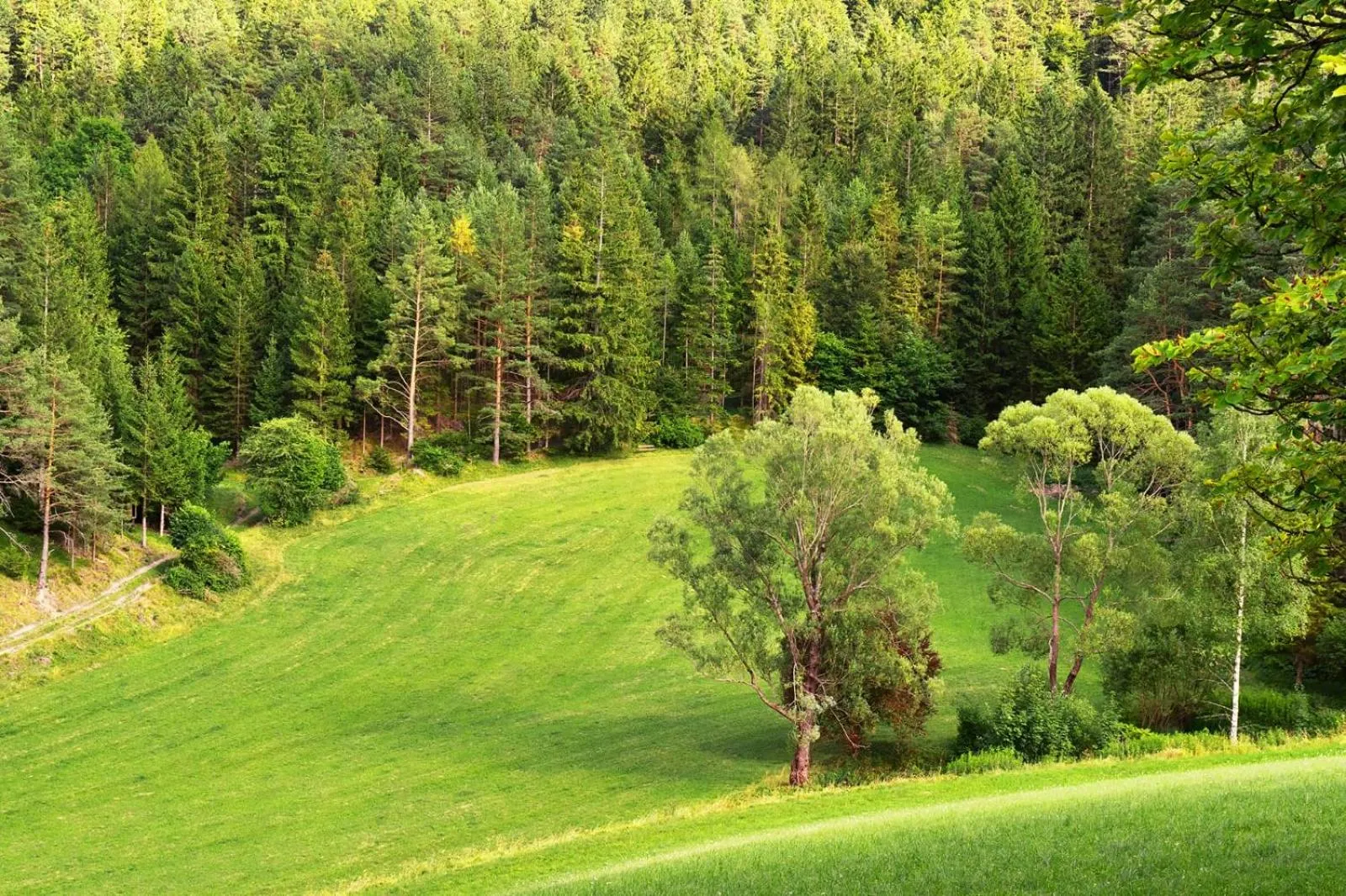Natural landscape in LANDSITZ OBERHOF petit hôtel