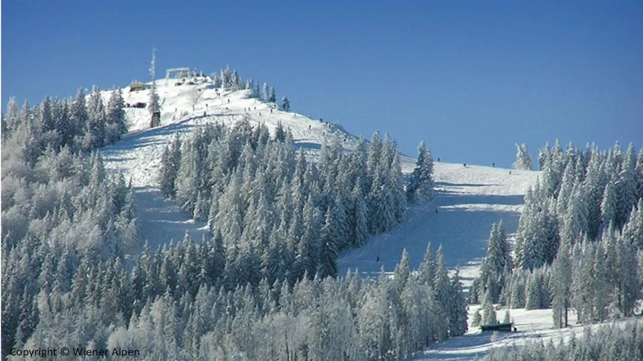 Ski School in LANDSITZ OBERHOF petit hôtel