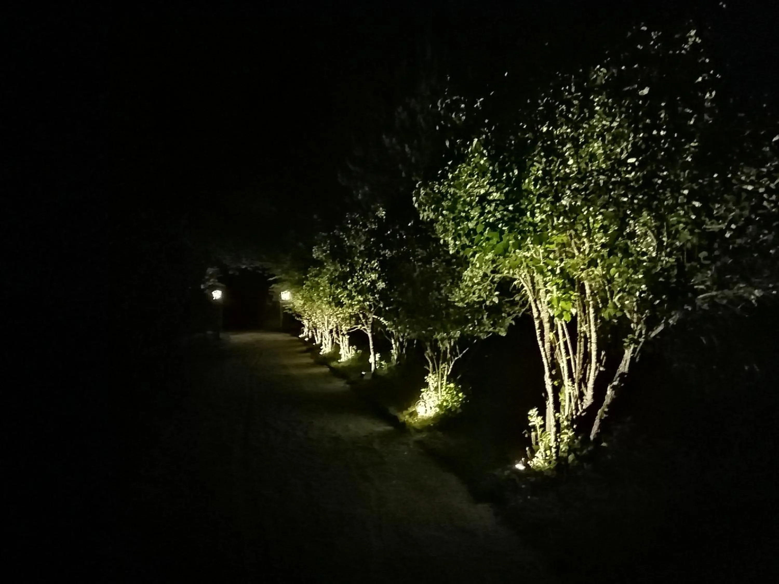 Garden view in LANDSITZ OBERHOF petit hôtel