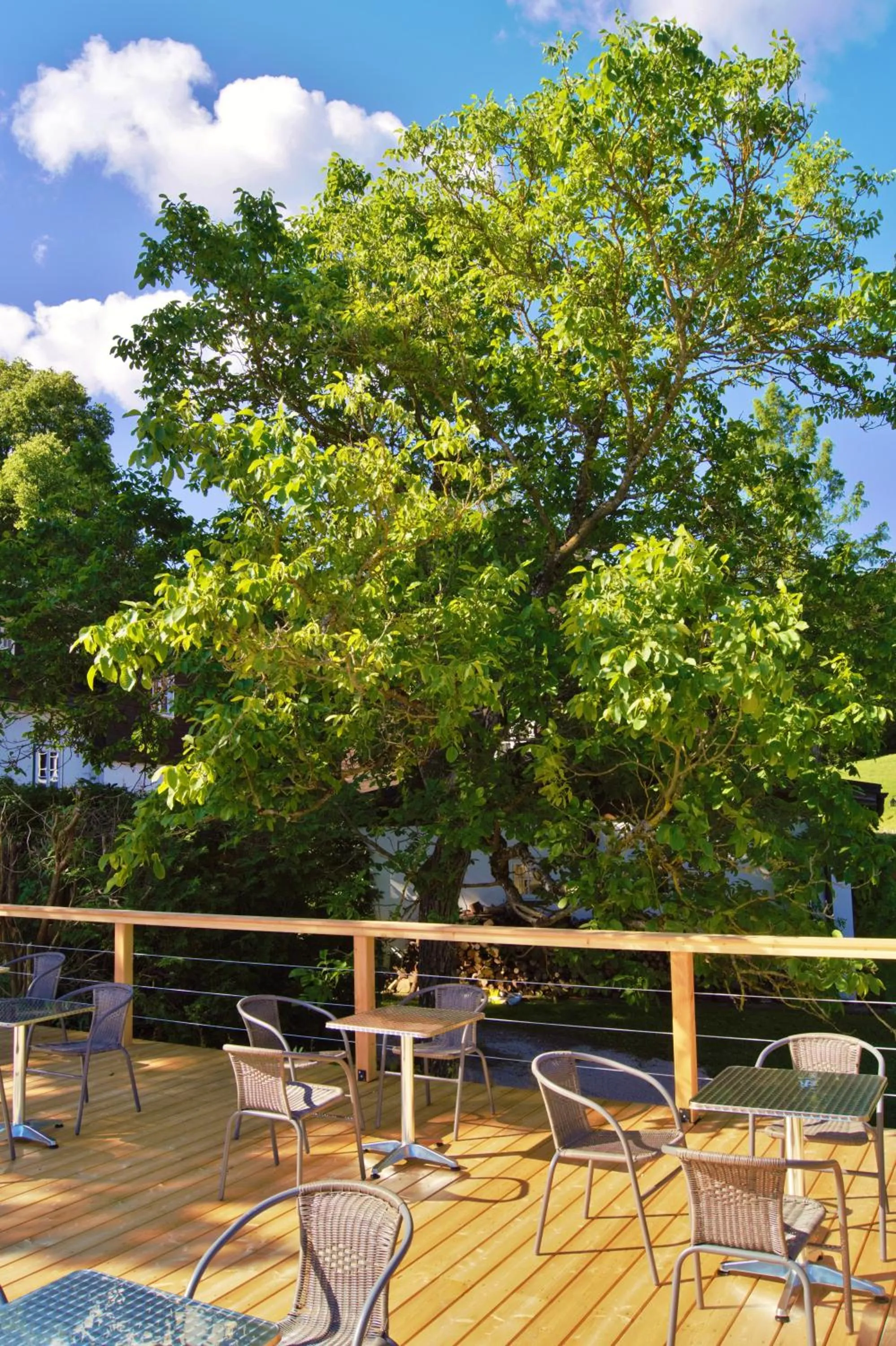 Balcony/Terrace in LANDSITZ OBERHOF petit hôtel